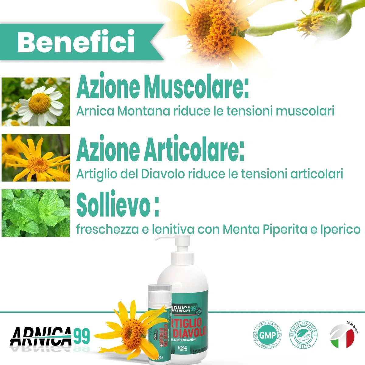 CREMA ARNICA e ARTIGLIO DEL DIAVOLO Gel Forte Arnica per Cavalli uso umano, crema riscaldante muscoli sportiva pomata forte Azione rapida 100% Naturale Italiana