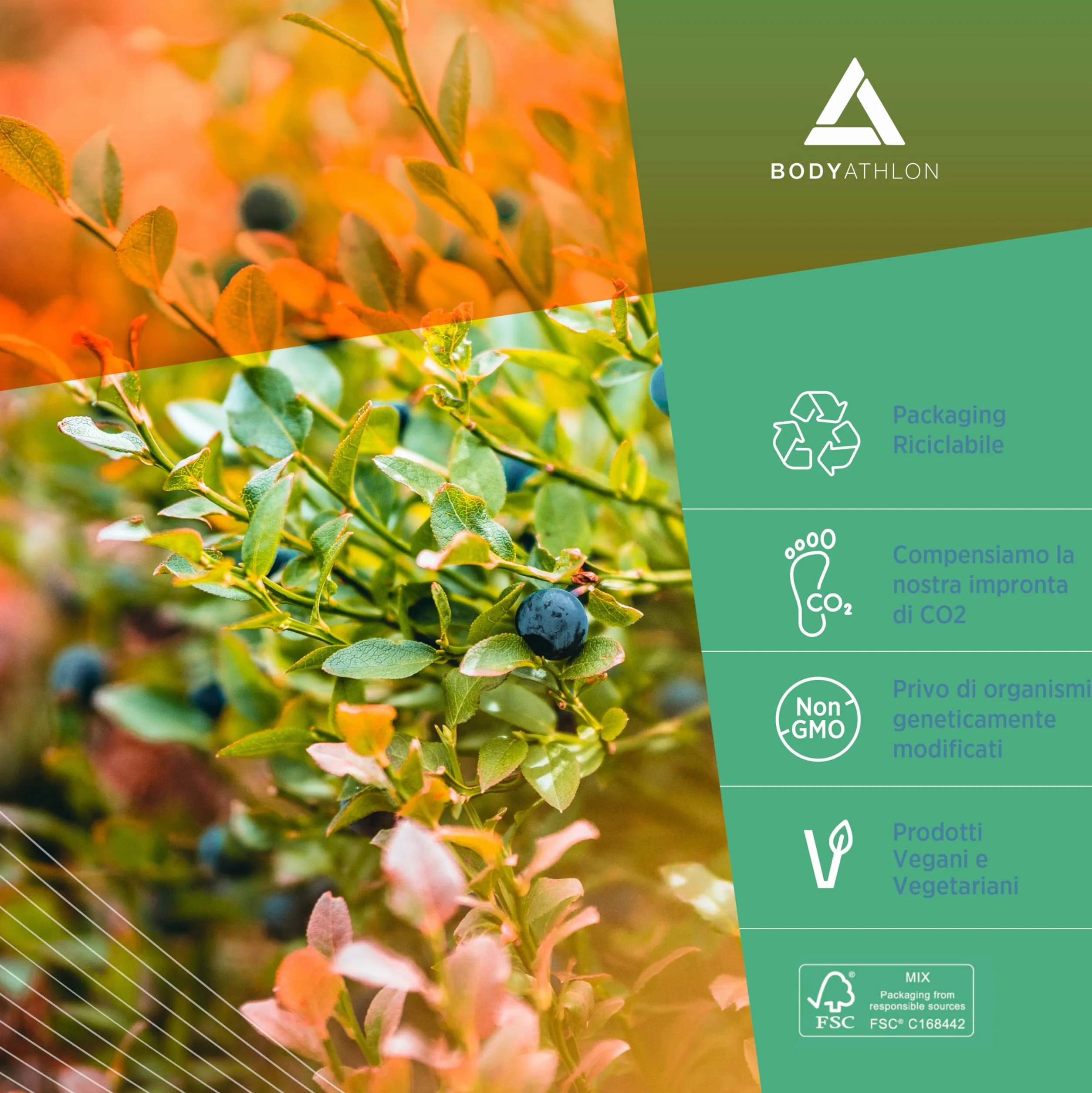 L-Glutammina in polvere 500g - aminoacido L-Glutammina dal sapore puro - 100 dosi di L-Glutammina vegana e senza glutine - Recupero muscolare - Bodyathlon