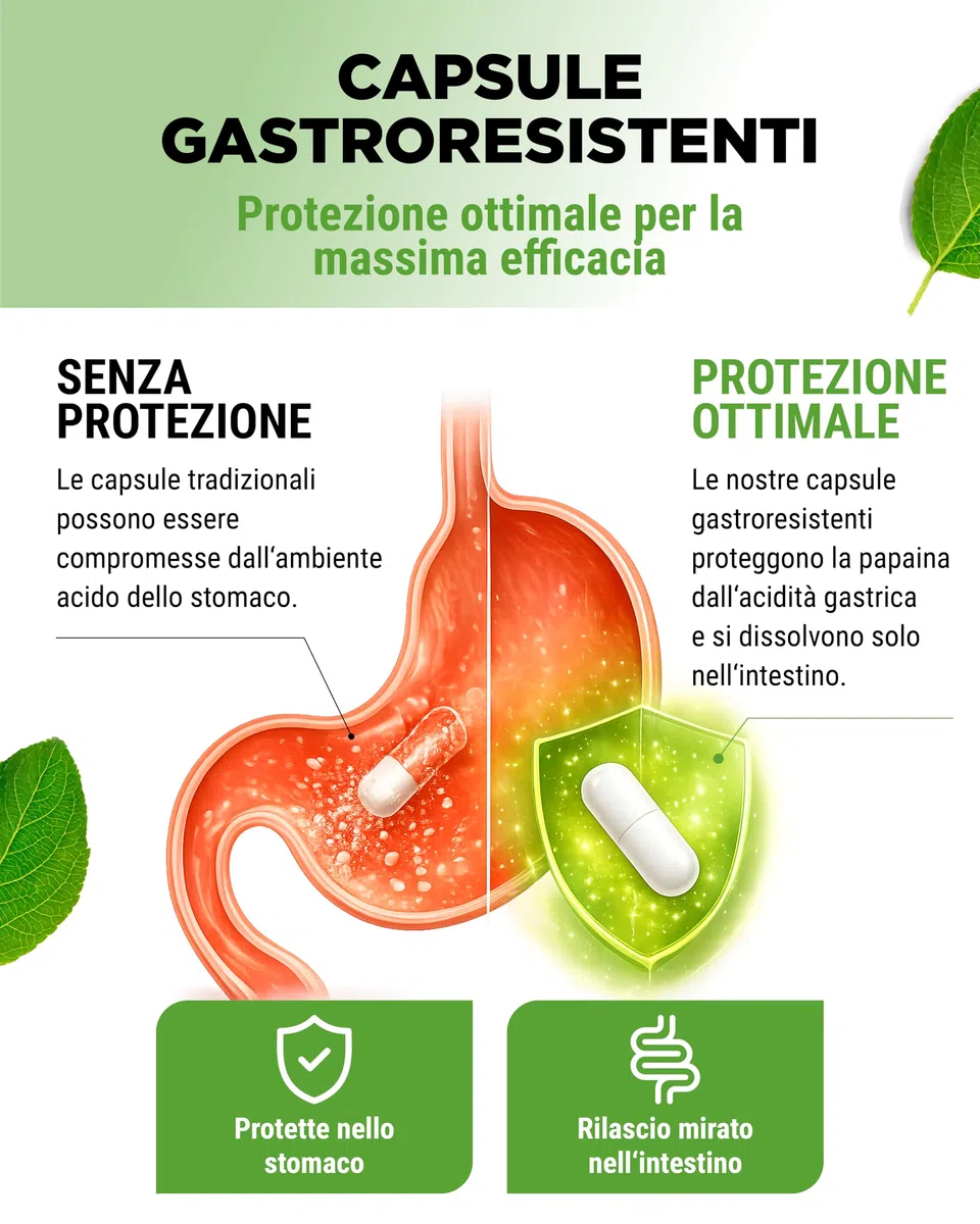 vit4ever Enzima di Papaya ad Alto Dosaggio - 2100 mg di Papaina da Papaya - 12.600.000 U di Attività Enzimatica - 180 Capsule Vegane Gastroresistenti - Senza Additivi Inutili