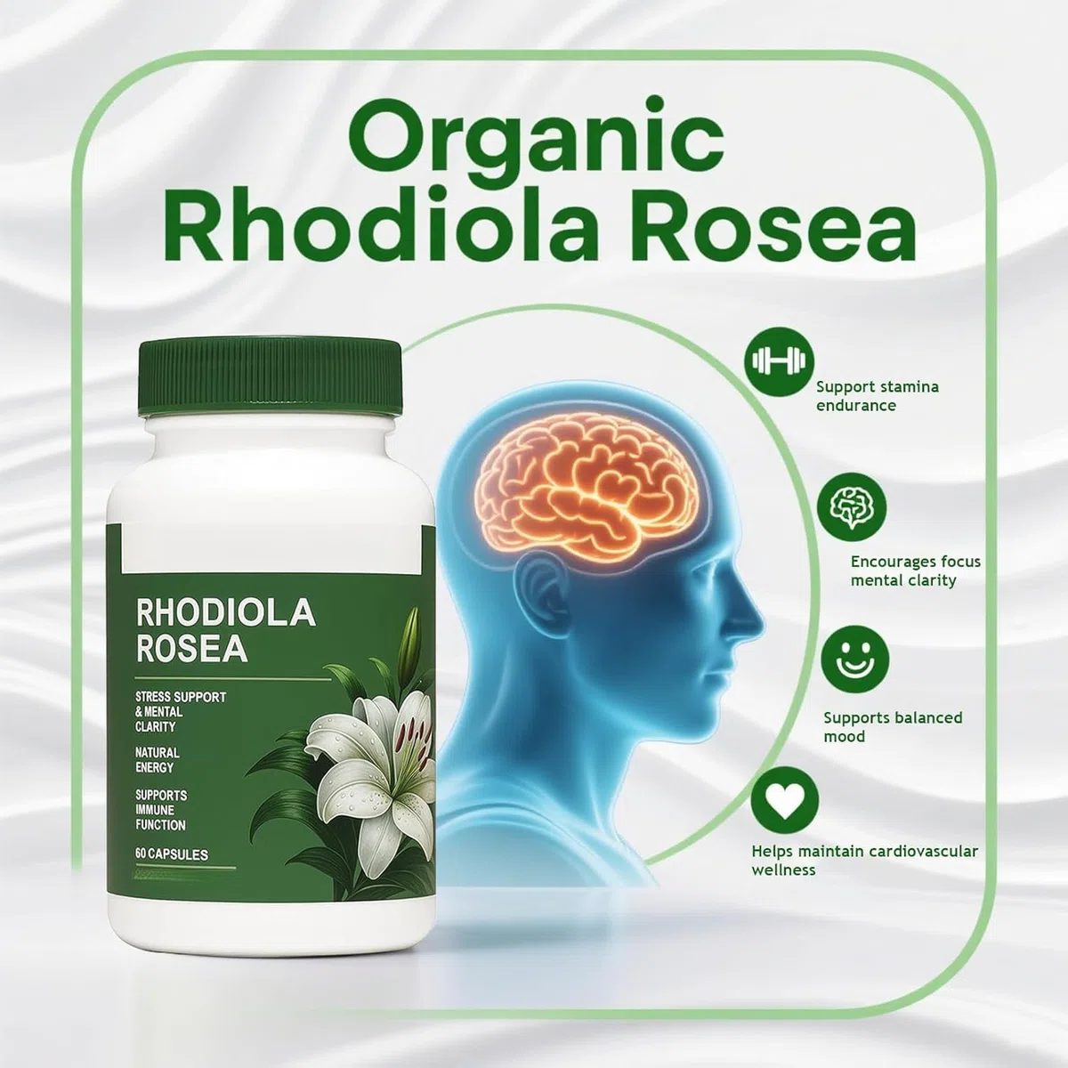 Rhodiola Rosea - Erba adattogena - Supporto per cervello, stress e umore - Miscela naturale - Non OGM