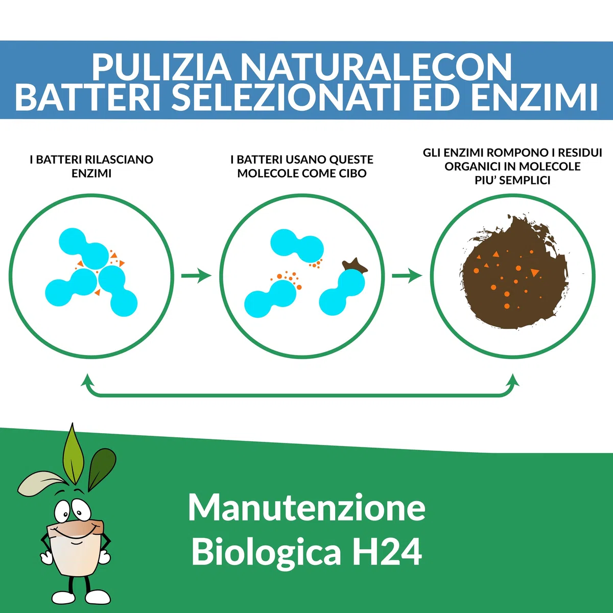 ECOTRAP Attivatore Fossa Biologica 1,5 KG - Made in Italy -Septic Tank - Enzimi per Fosse Biologiche con Dosatore - Pulizia e Manutenzione Circolare Fosse Settiche, Elimina Cattivi Odori e Ingorghi