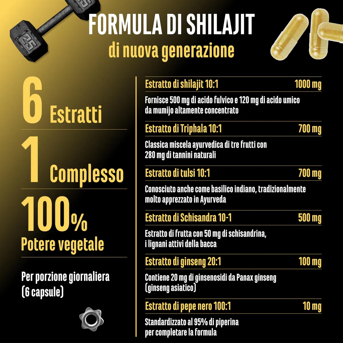 Shilajit Complex - 180 capsule - Altamente dosato con 3010 mg per dose giornaliera - Con ginseng, schisandra, triphala, estratto di tulsi, 50% di acido fulvico e 12% di acido umico - Vegano