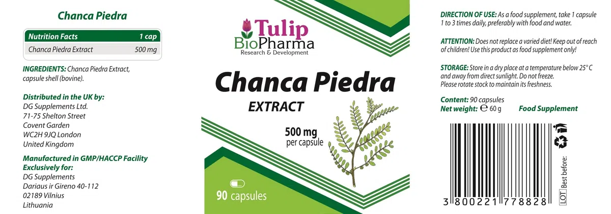Chanca Piedra Extract 500mg 90 Capsule, Certificato di analisi di AGROLAB Germania, ad alta resistenza, senza riempitivi o altri additivi, senza glutine, senza OGM