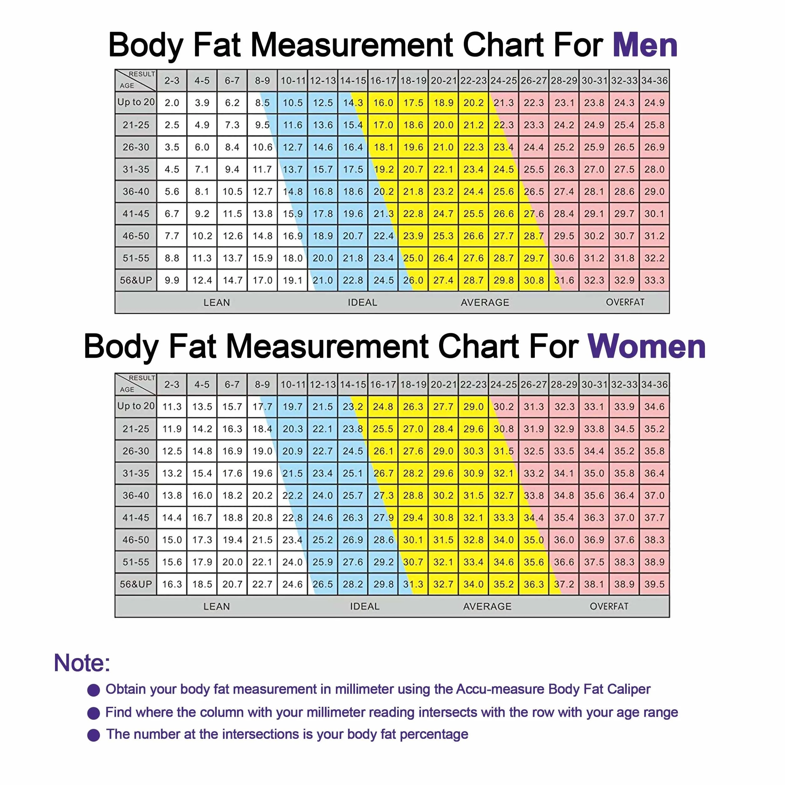 Accu Measure Fitness 3000 Personal Body, Plicometro