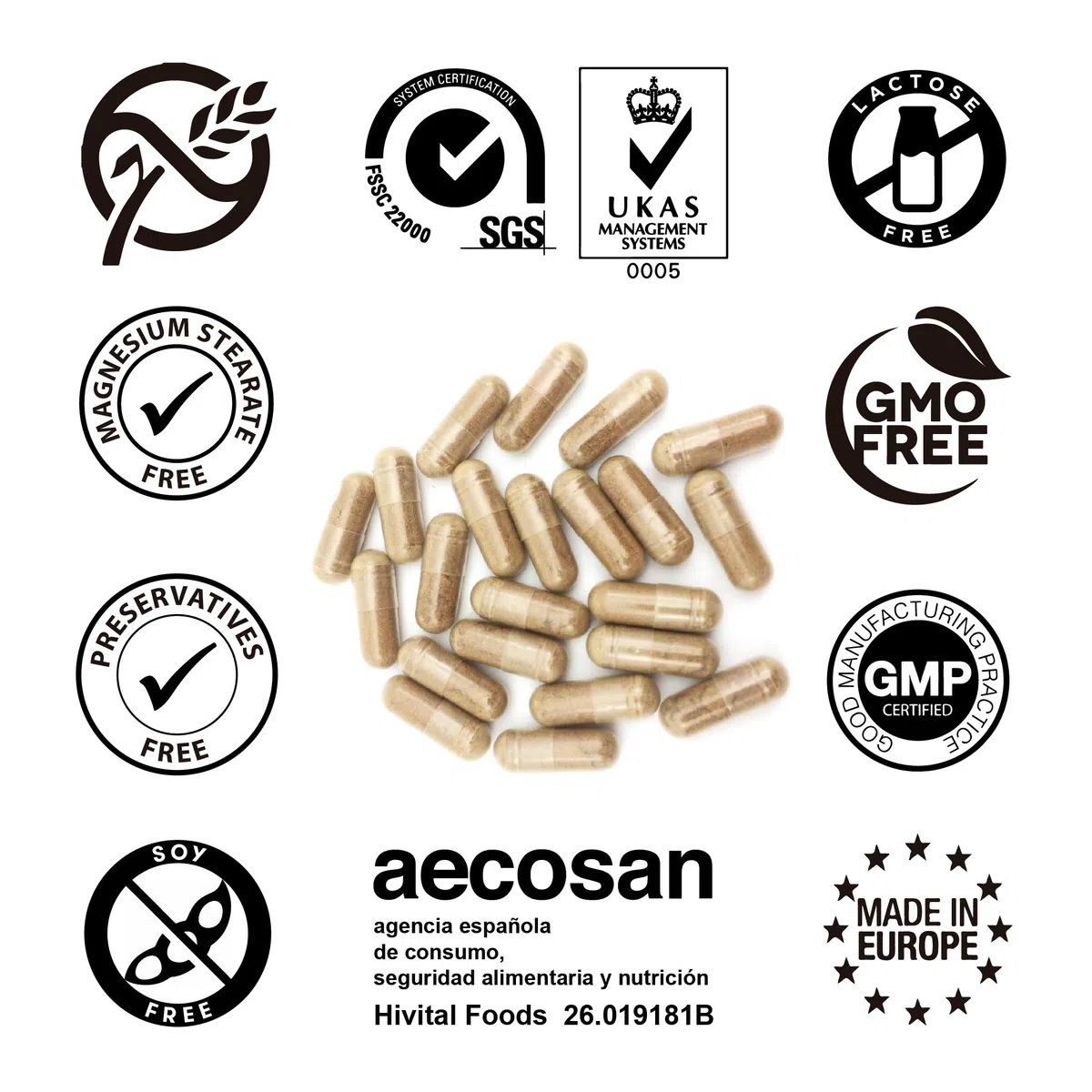 Nootropico Bacopa Monnieri 10000 mg. 180 capsule per 6 mesi di trattamento. Nootropic Naturale con L-Tirosina e Caffeina. Prodotto in Europa da HIVITAL