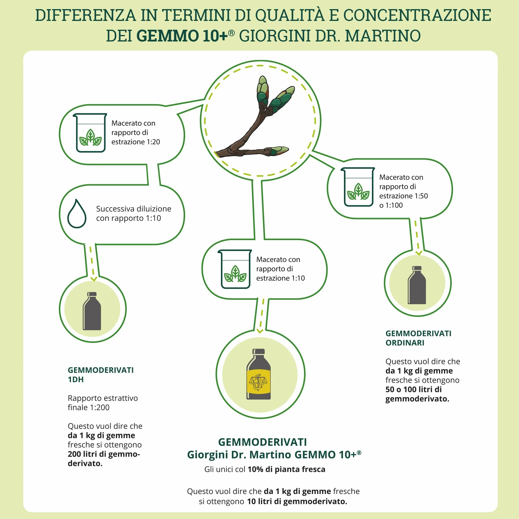 Dr Giorgini GEMMO 10+ BIANCOSPINO Gemmoderivato Concentrato Liquido Analcoolico - 500 ml