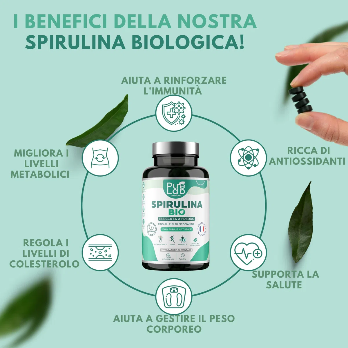 Spirulina Bio - 600 Compresse Vegan, Scorta di 5 Mesi - 21% Ficocianina, 66% Proteine - Essiccata a Freddo - Antiossidante, Energia, Immunità - Senza Eccipienti né Additivi - Prodotto in Francia
