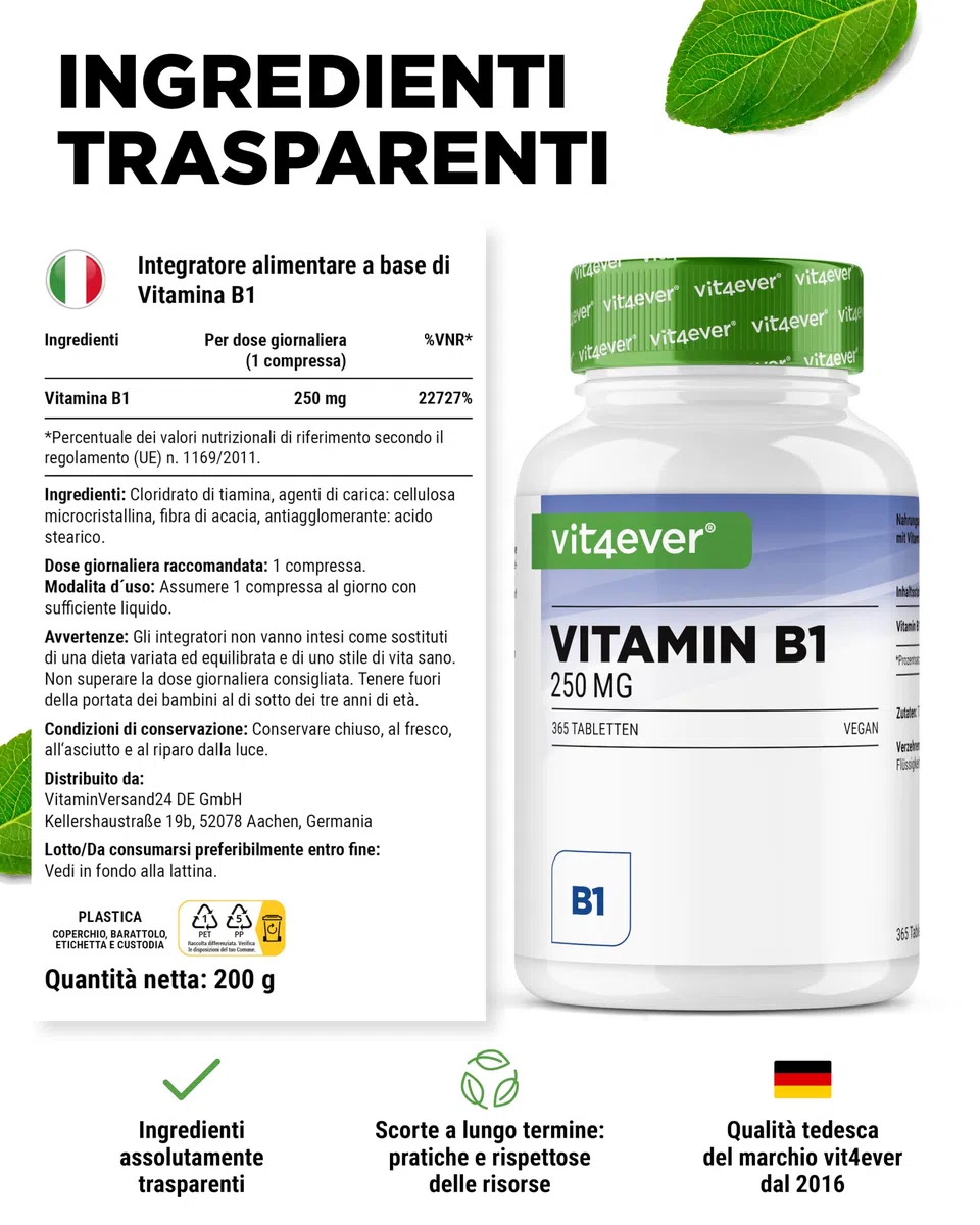 Vitamina B1 (Tiamina) - 250 mg - 365 compresse - Premium: tiamina cloridrato - Elevata biodisponibilità - Fornitura per 12 mesi - Senza additivi indesiderati - Vegan