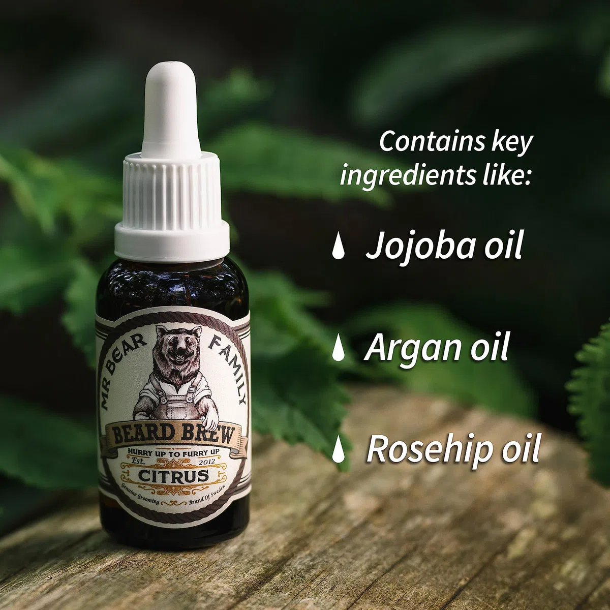 Mr Bear Family Olio da barba - Agrumi - per cura e crescita barba - Olio barba uomo nutriente con oli di jojoba e di argan - Beard oil - Oli per barba uomo idratante 60 ml