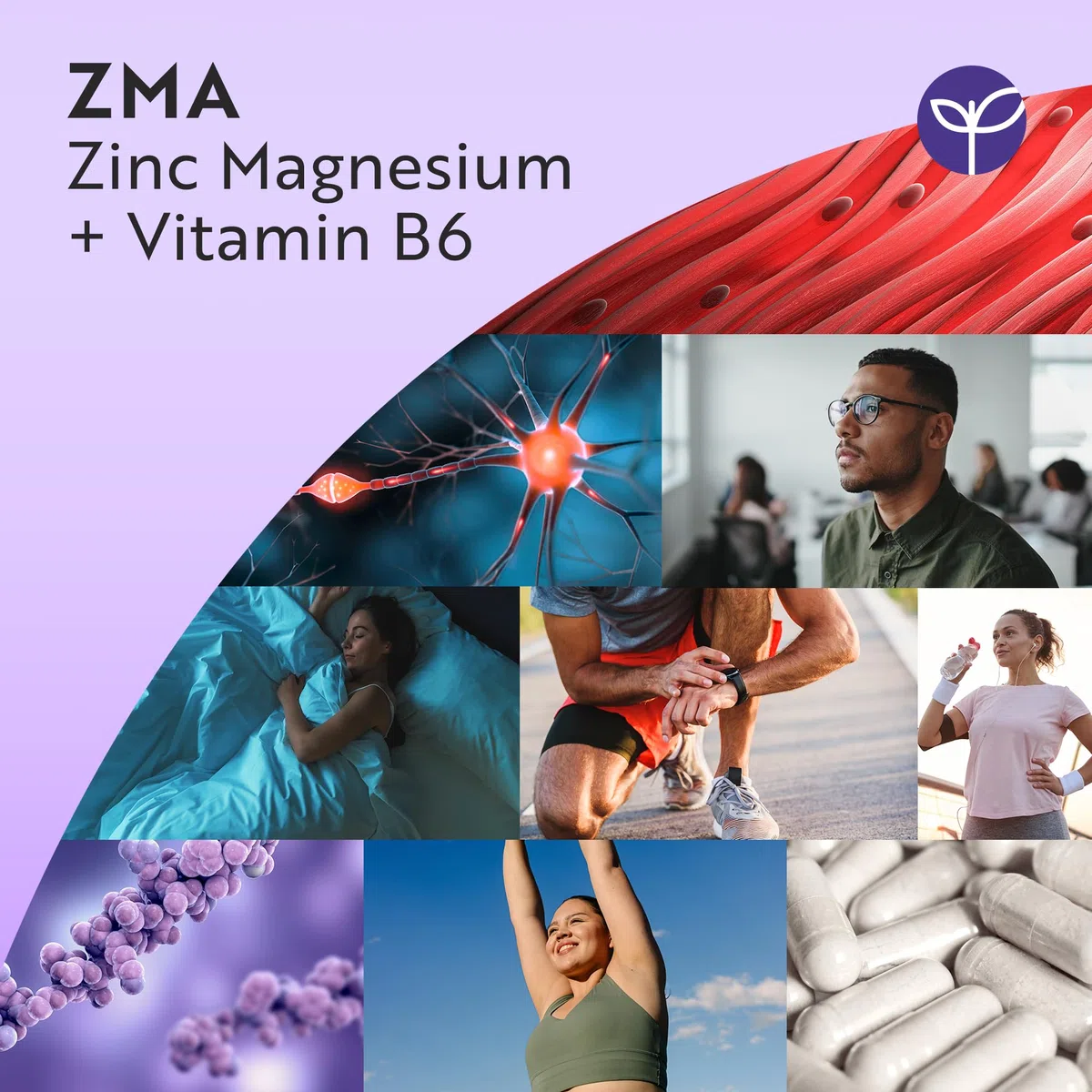 Nutravita ZMA High Strength - 120 Capsule Vegane - Zinco Magnesio e Vitamina B6 - Contribuisce alla normale funzione muscolare
