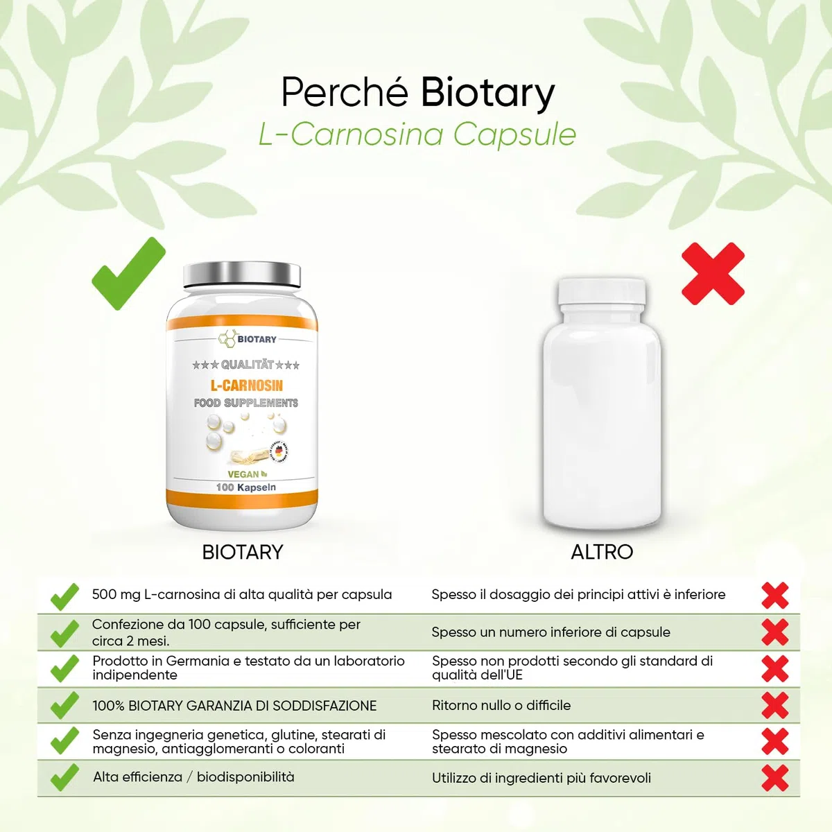L-Carnosina 100 Capsule | 1000 mg per dose giornaliera | Inclusa scatola porta pillole | 100% Vegano | Alta dose e senza additivi | Alta biodisponibilità | Testato in laboratorio