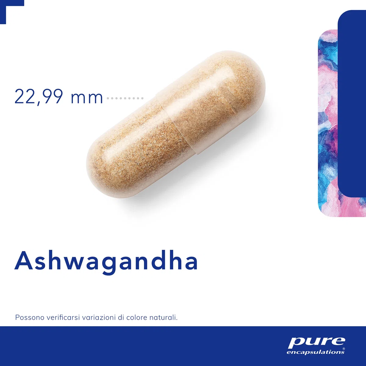 Pure Encapsulations - Ashwagandha – Integratore con Withania somnifera (Ginseng Indiano) – Capsule Vegane Senza Glutine e Lattosio – 30 Capsule