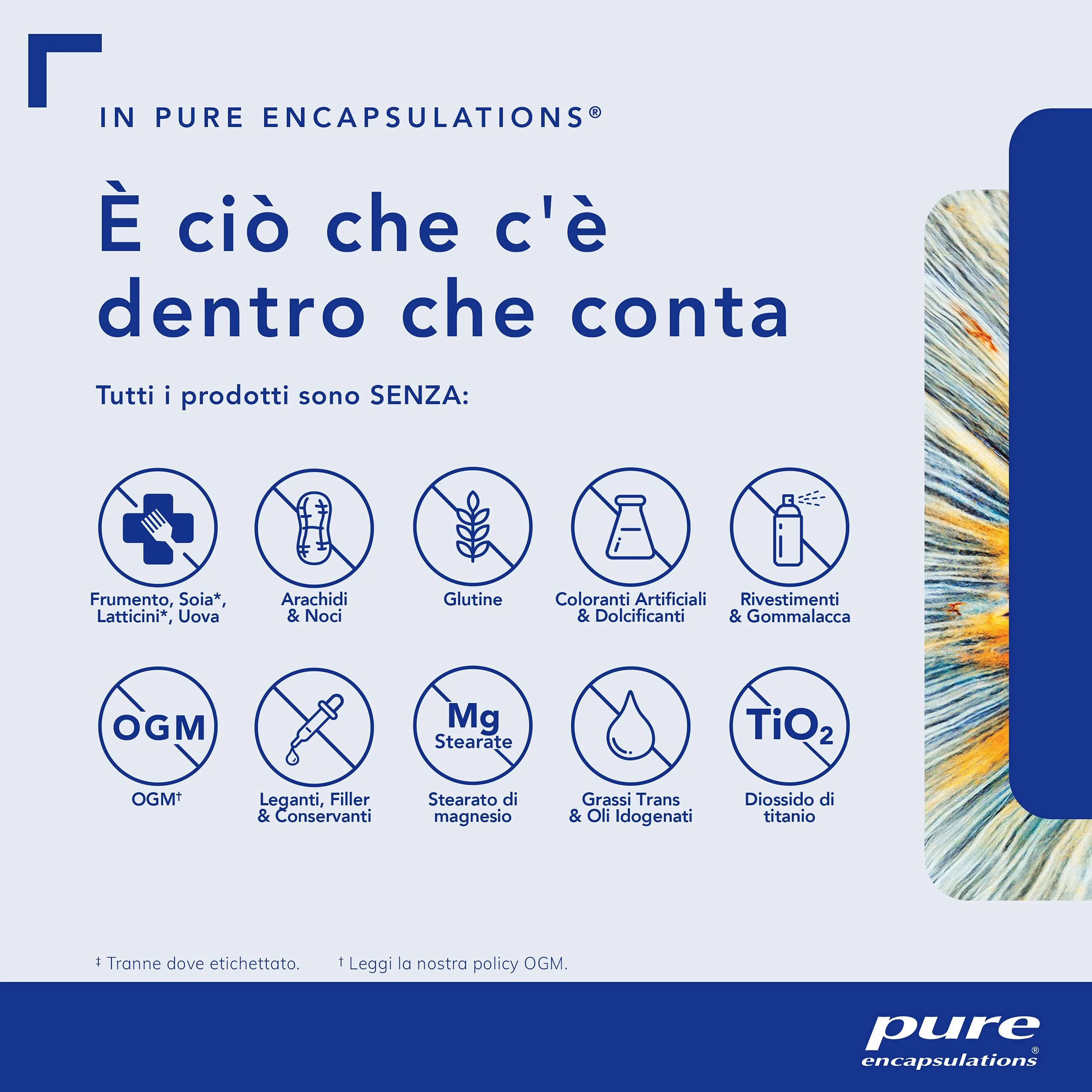 Pure Encapsulations - Ashwagandha – Integratore con Withania somnifera (Ginseng Indiano) – Capsule Vegane Senza Glutine e Lattosio – 30 Capsule