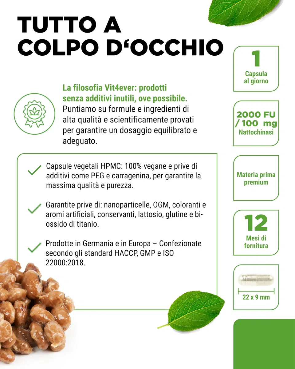 vit4ever Nattokinase - 365 Capsule da 100 mg Nattokinasi (20.000 FU/g) - Scorta per 12 Mesi - Alto Dosaggio - Vegano - Senza OGM - Senza Additivi Inutili