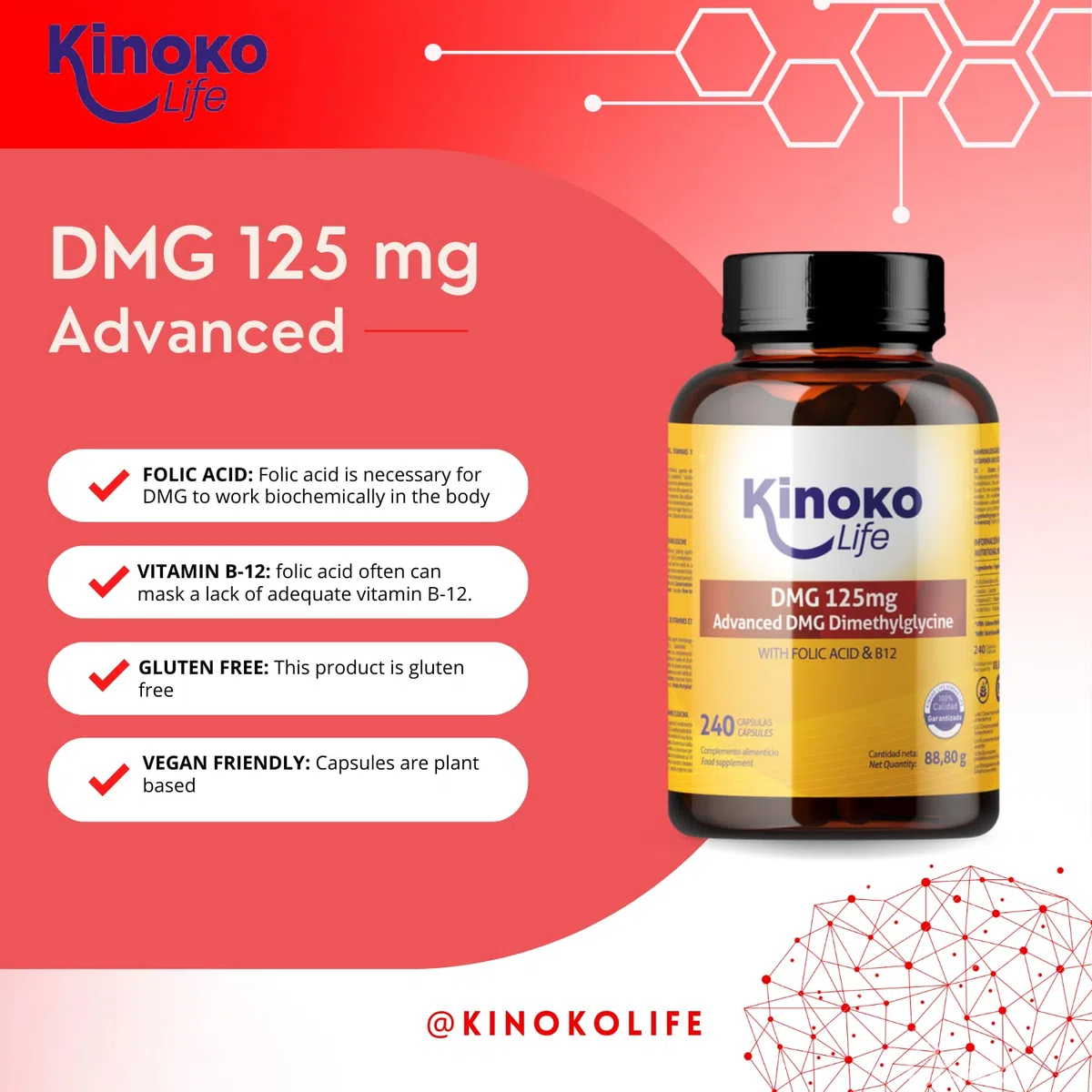 DMG Advanced 125 mg, 240 capsule Dimetilglicina pura. Con Acido Folico e B12 per un migliore assorbimento del DMG. Senza Glutine, Non OGM, Vegan Friendly. Memoria, Stress, Concentrazione
