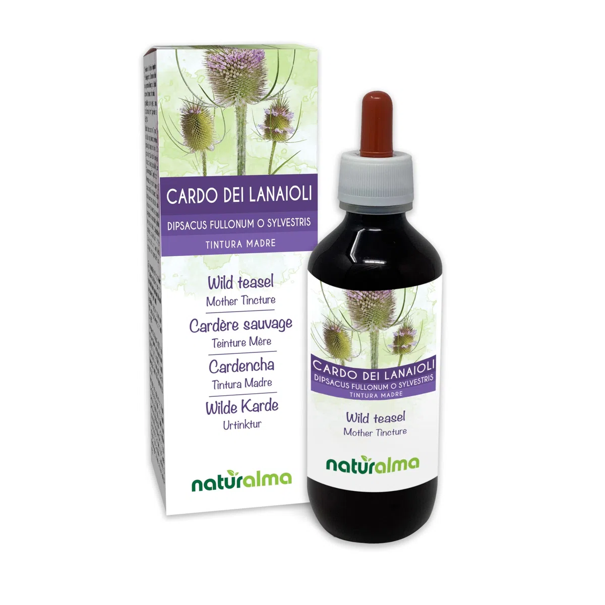 Cardo dei lanaioli o Cardo selvatico (Dipsacus fullonum o sylvestris) radici Tintura Madre analcoolica Naturalma - Estratto liquido gocce 200 ml - Integratore alimentare - Vegano