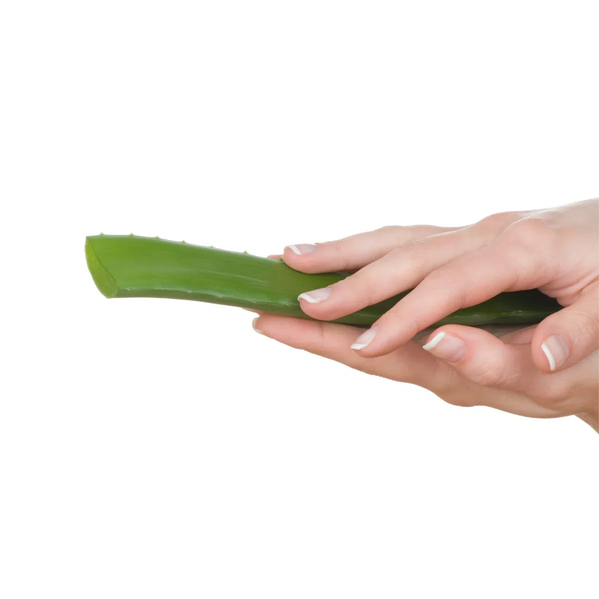 Vonderweid – Aloe Arborescens Padre Zago | Aloe Arborescens Biologica da Bere con Miele e Distillato di Grano | Integratore Naturale per Benessere Intestinale, Regolarità e Detox Fegato | 830 g