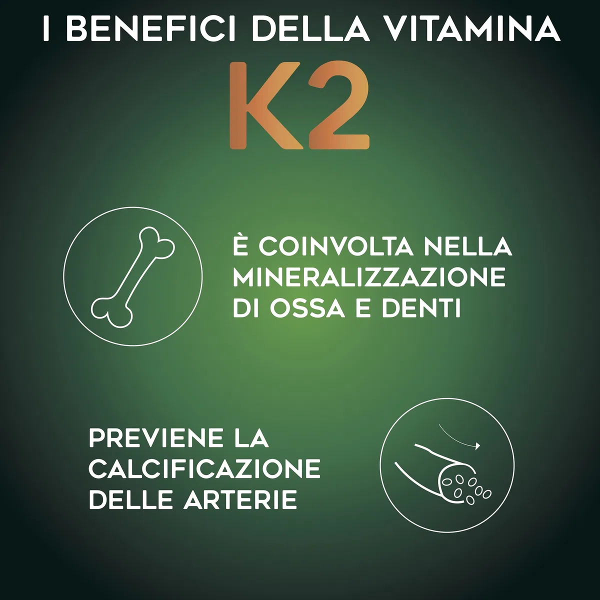 SEB - PURE K2 - Integratore alimentare naturale di Vitamina K2 MK7-60 capsule. 100% vegetale, 100 mcg per capsula