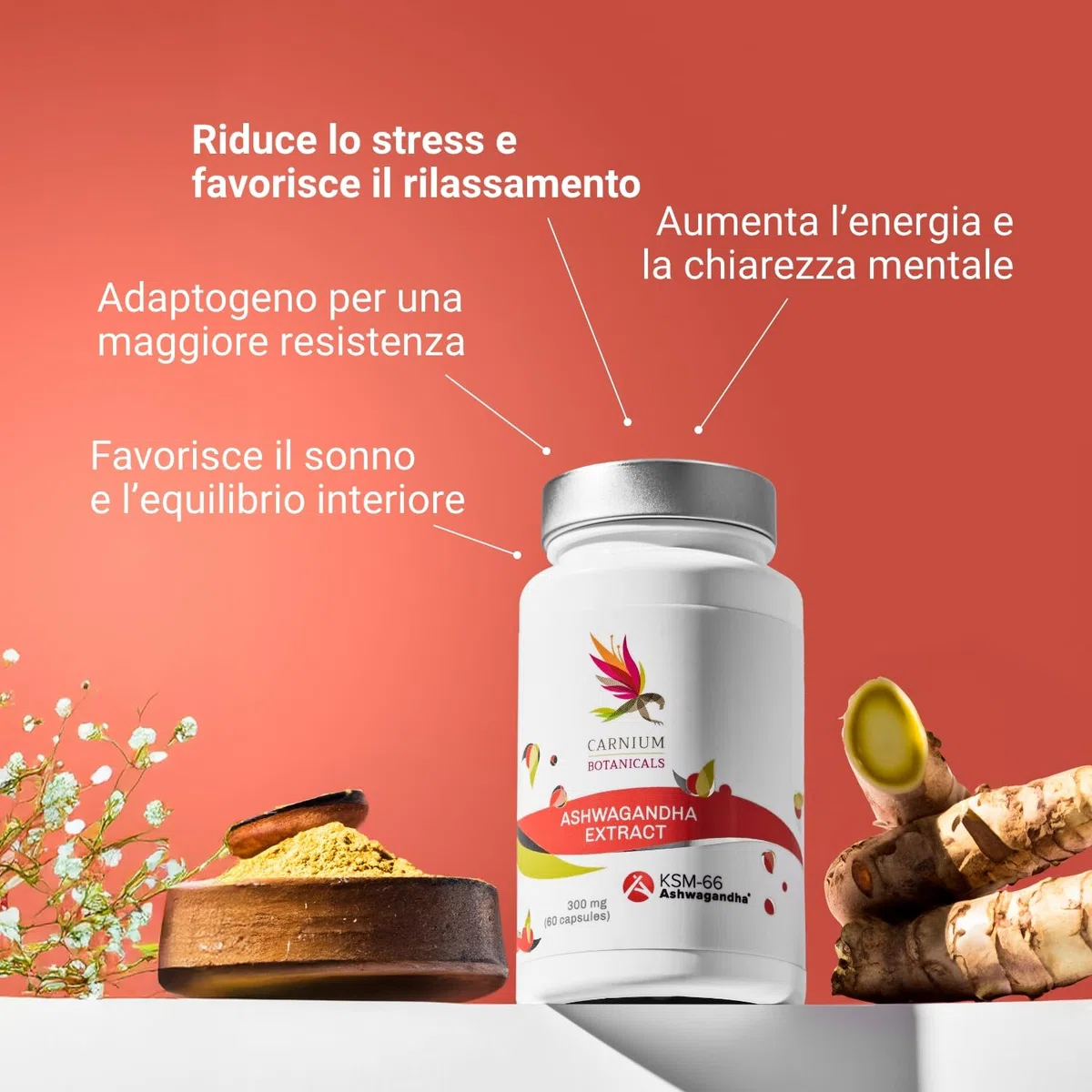 Carnium Botanicals Estratto di Ashwagandha KSM-66 da Radice Pura – Integratore Alimentare ad Alta Concentrazione – 60 Capsule Senza Glutine – Vegano
