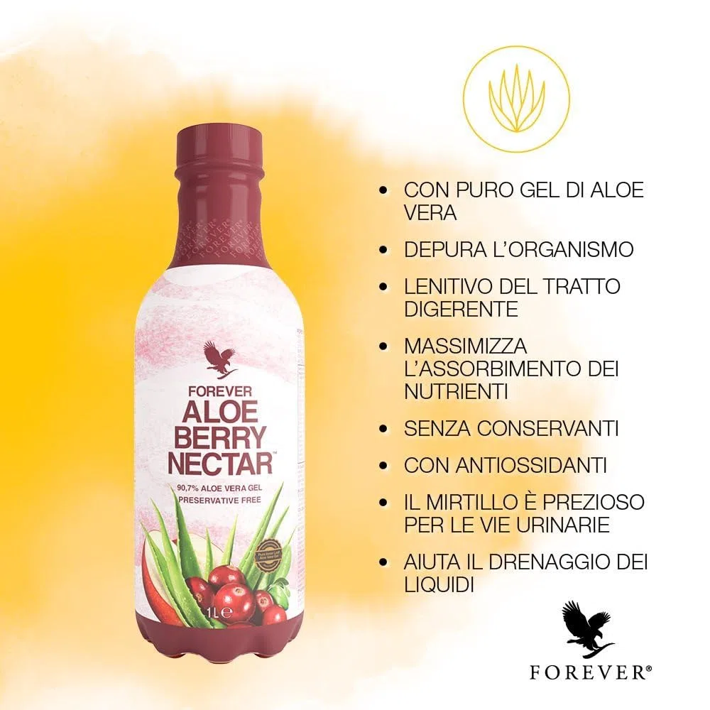 Aloe Berry Nectar - PET - Aloe Vera e Mirtillo da bere