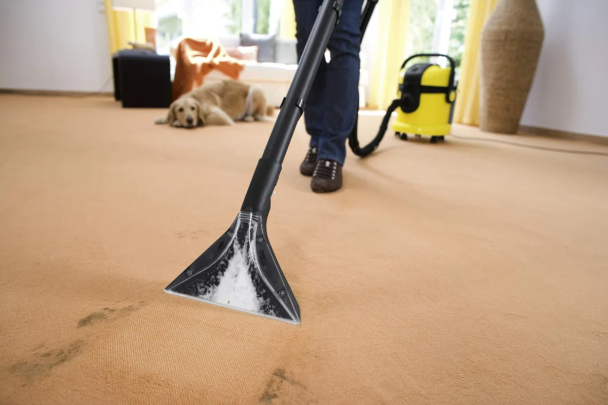 KÄRCHER Punta Rotativa Professionale ad Alte Prestazioni universale per professionisti del settore metallurgico per finiture superficiali impeccabili Gambo Rinforzato da 6mm