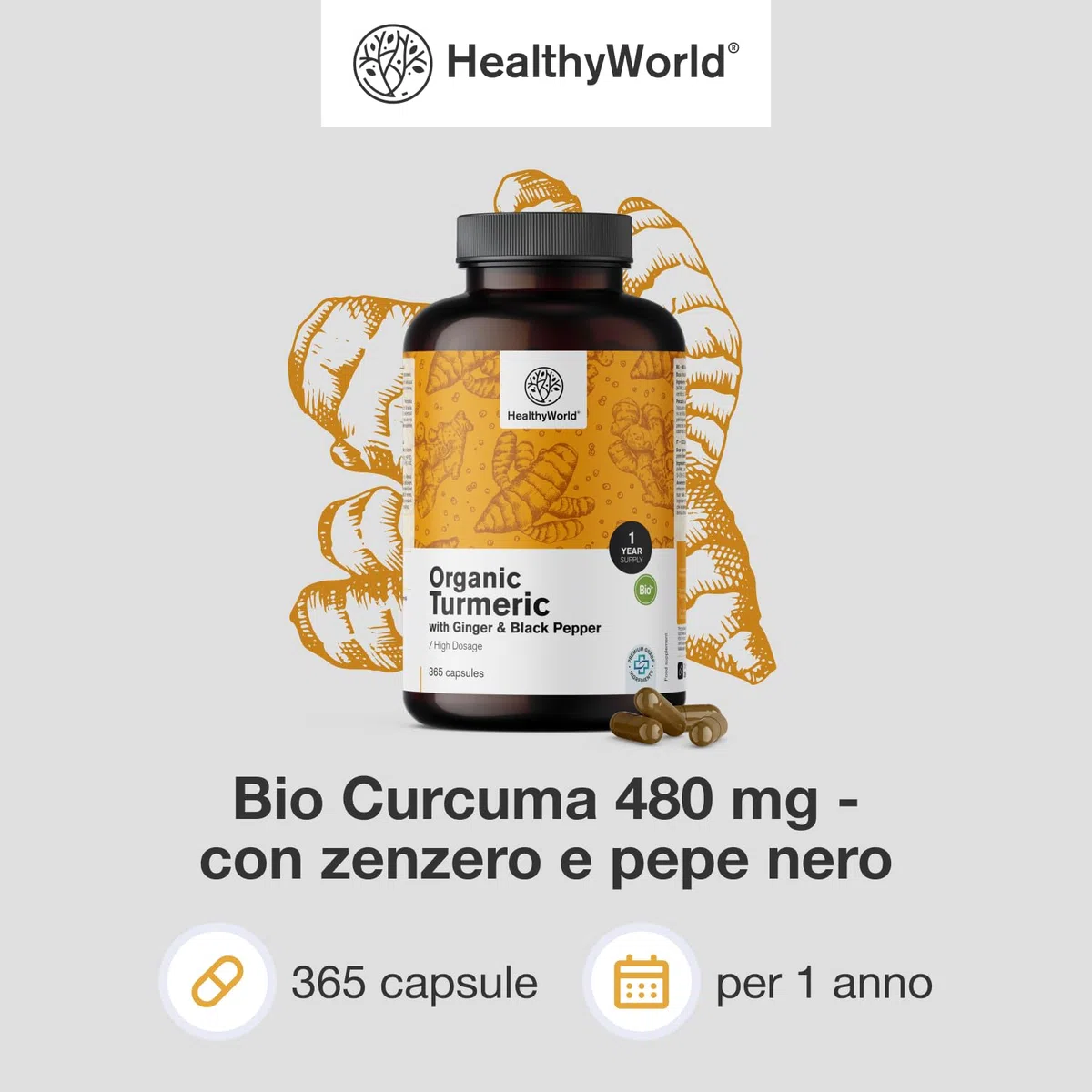 HealthyWorld BIO Curcuma 480 mg con Zenzero e Pepe Nero - 365 Capsule Vegetali - 1-anno di Fornitura - Per il sostegno delle Difese Immunitarie, del Fegato, delle Vie Respiratorie e del Cuore