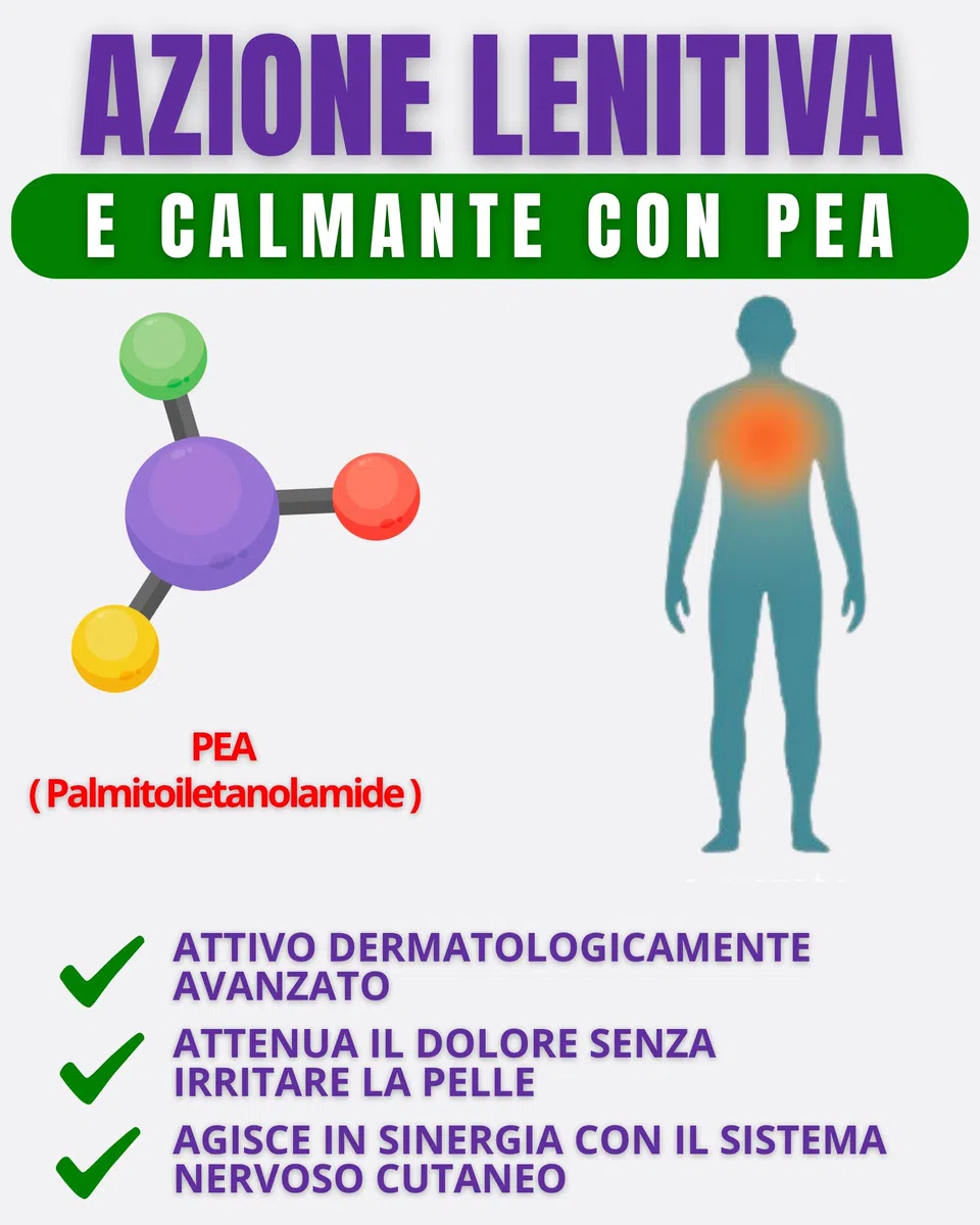 VANTHEX Crema Riscaldante Muscoli Sportiva 500ml con Arnica Gel Forte a Rapido Assorbimento per un Sollievo Naturale ideale per Pre Post Allenamento, Calore Progressivo, Non Untuoso