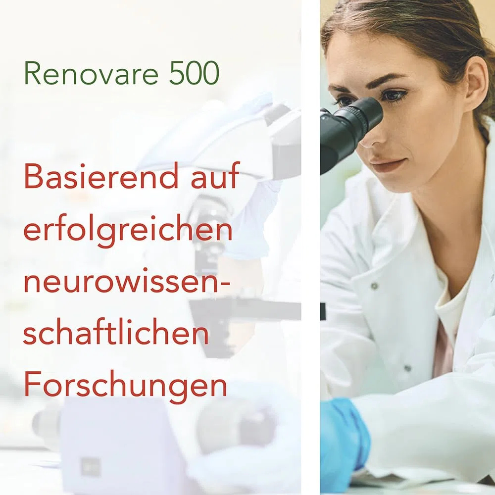 Renovare 500