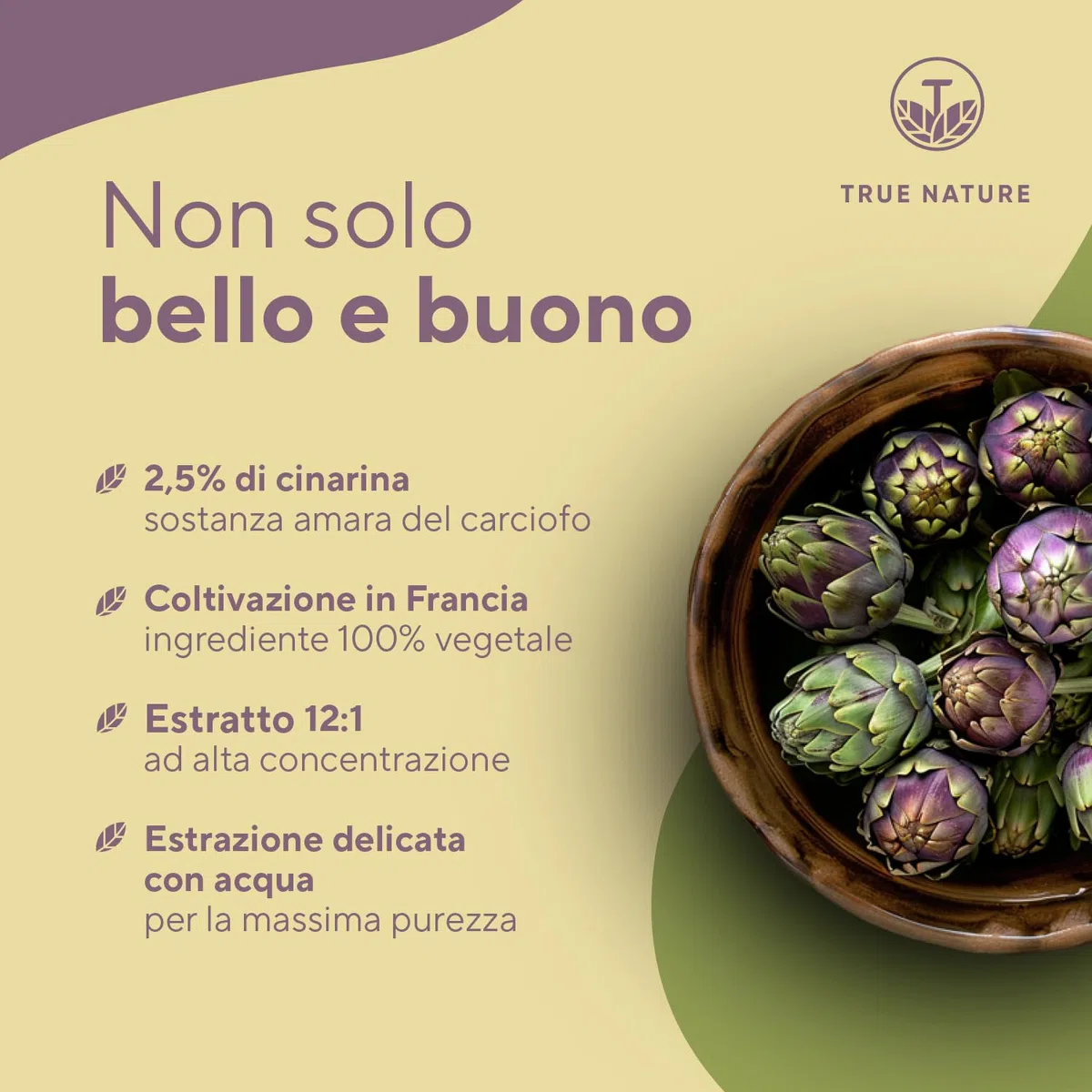 Estratto di carciofo - 300 Capsule - 2.400mg dose giornaliera - Alto dosaggio (12:1) - 60mg di cinarina - Estratto carciofi francese - Vegano - Testato in Laboratorio, produzione Tedesca - TRUE NATURE
