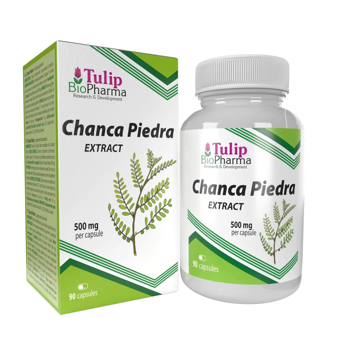 Chanca Piedra Extract 500mg 90 Capsule, Certificato di analisi di AGROLAB Germania, ad alta resistenza, senza riempitivi o altri additivi, senza glutine, senza OGM