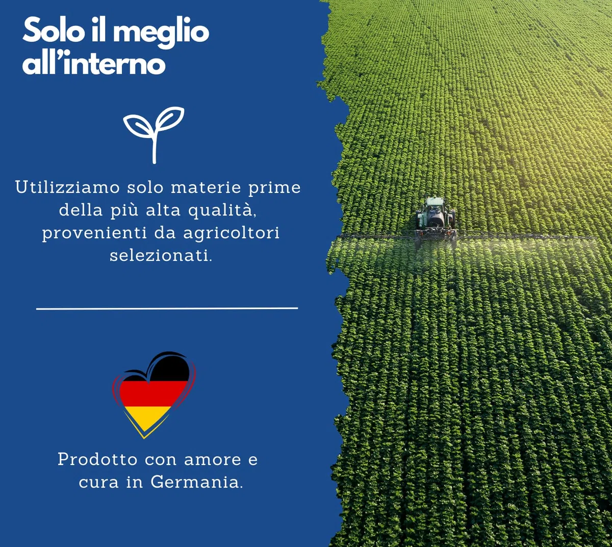 Capsule di olio di cumino nero, 1000 mg, EXVital, spremuto a freddo, egiziano, naturale, con vitamina E, 400 capsule softgel per più di 6 mesi, qualità premium, senza magnesio stearato