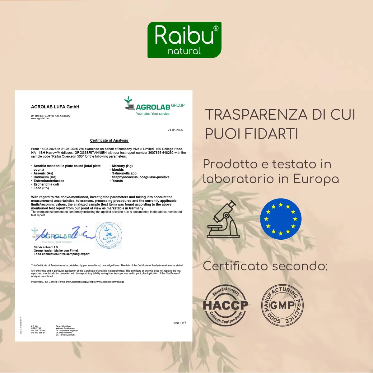 Quercetina 500 mg Pura – 180 Capsule (6 MESI di Fornitura) I 95% di Contenuto di Quercetina I Estratto di Sophora Japonica I Integratore di Flavonoidi I Testato in Laboratorio e Vegano, Raibu