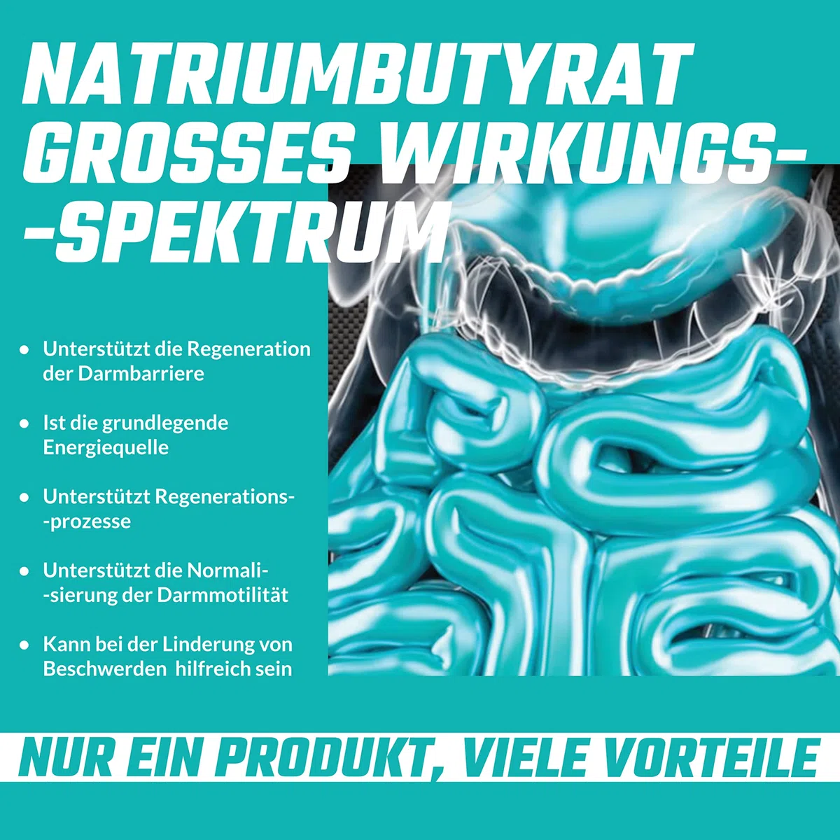 Sodio butirrato ad alto dosaggio 570 mg (30% di acido butirrico), 240 capsule vegane, fornitura di 8 mesi, integratore per sostenere la rigenerazione della barriera intestinale - Apollo's Hegemony
