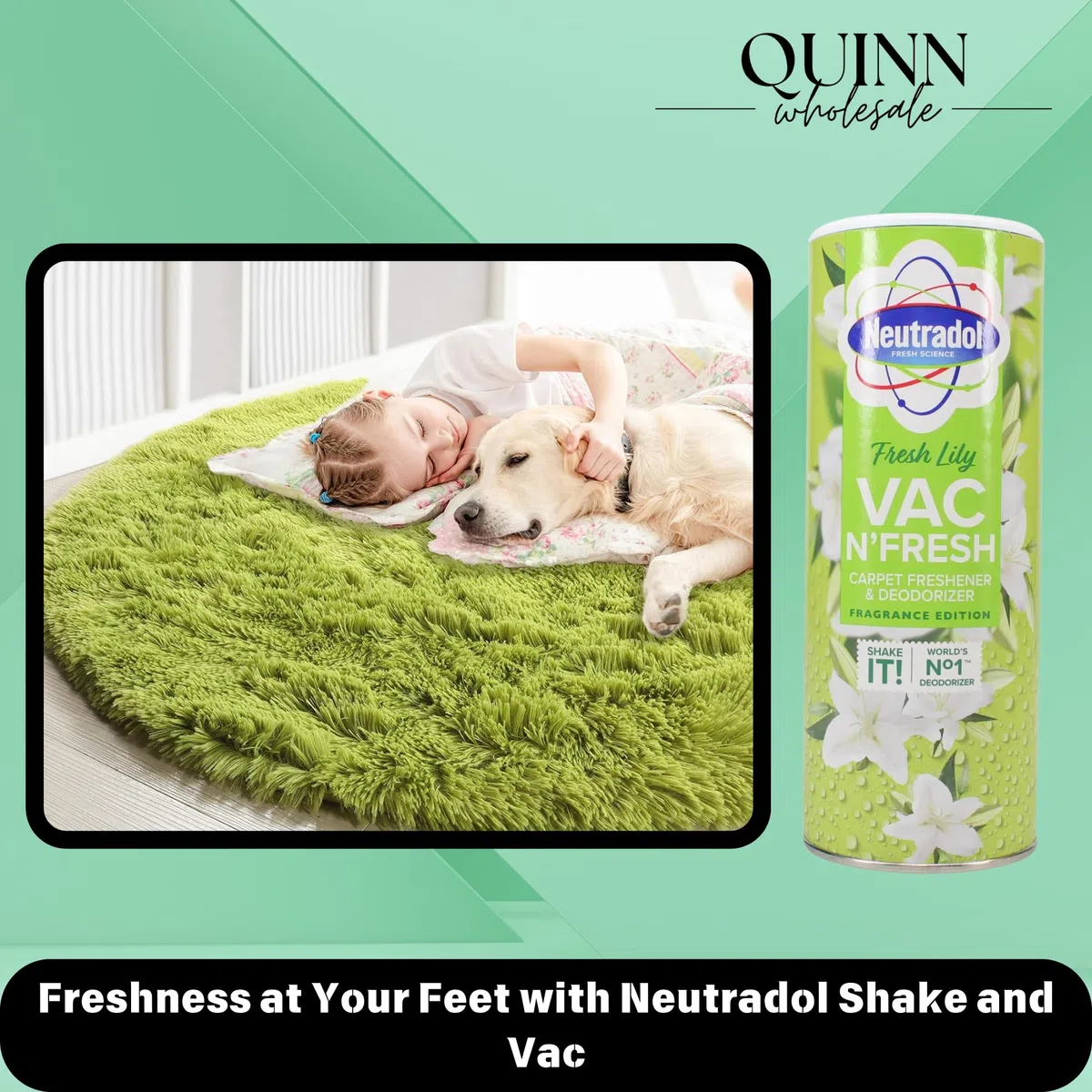 2 in 1 Shake and Vac, polvere detergente per tappeti: 3 x Neutradol 350 g Shake and Vac deodorante per tappeti Lily Fresh + sacchetto da appendere al profumo di spezie (giglio)