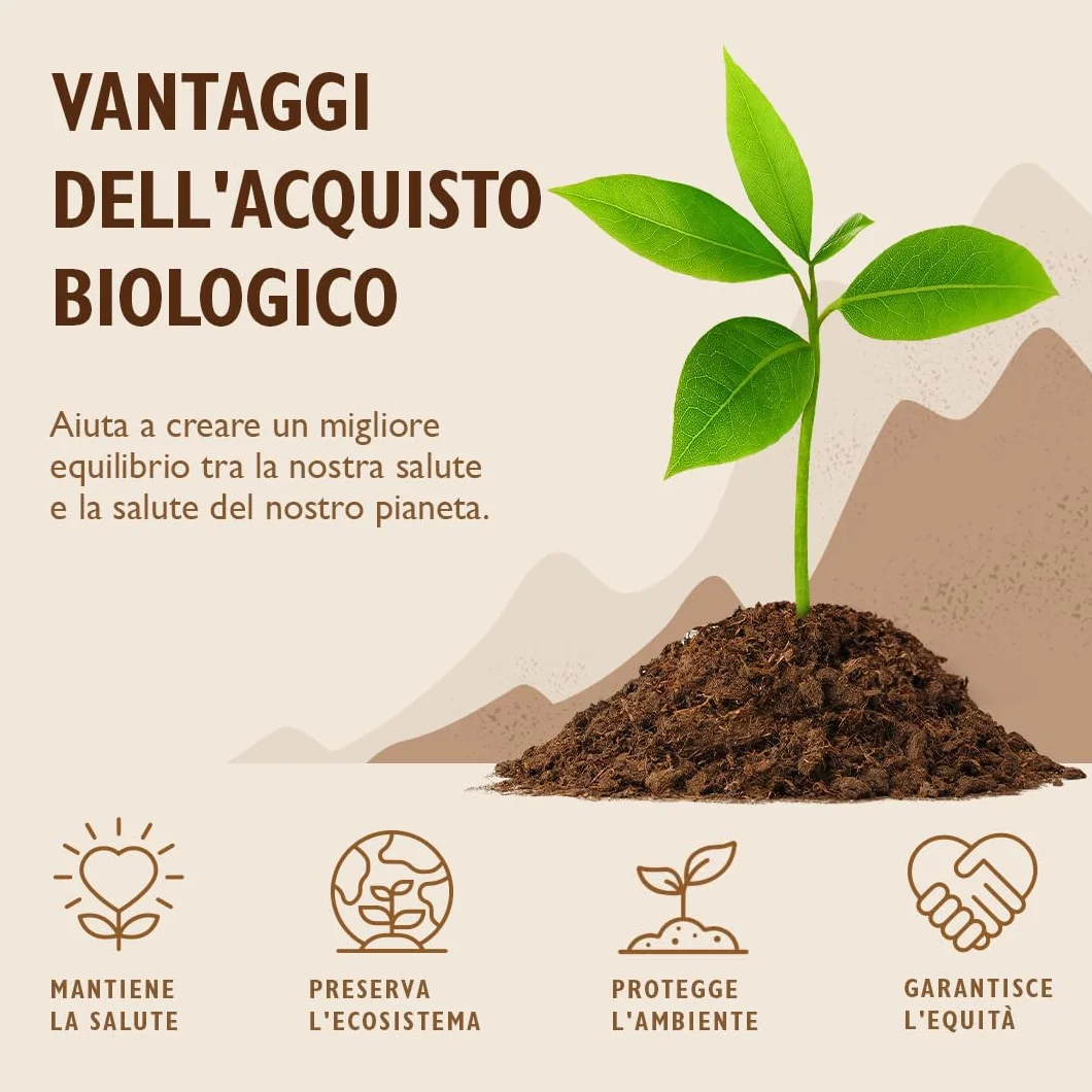 Sevenhills Wholefoods Polvere Proteica Di Riso Bio 1kg