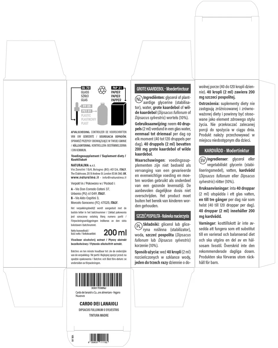 Cardo dei lanaioli o Cardo selvatico (Dipsacus fullonum o sylvestris) radici Tintura Madre analcoolica Naturalma - Estratto liquido gocce 200 ml - Integratore alimentare - Vegano