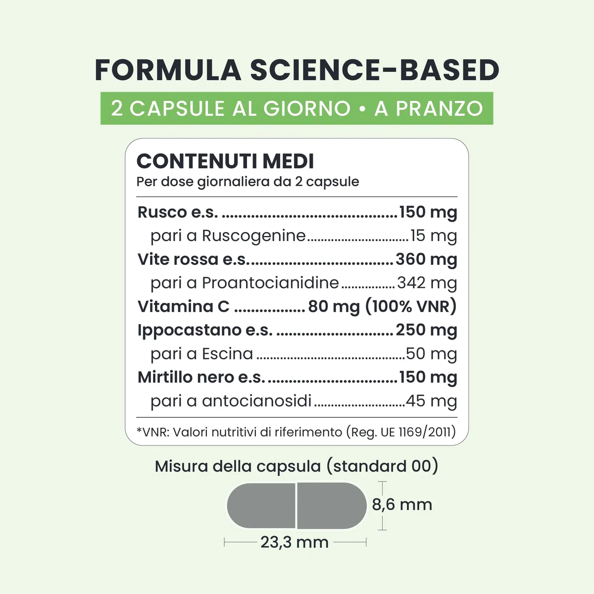 Light Legs+ - Integratore Gambe Leggere & Microcircolo - Proantocianidine 342 mg - 30 giorni (60 caps) - Vegan, senza glutine e lattosio, aroma pesca - Rusco, Ippocastano, Mirtillo