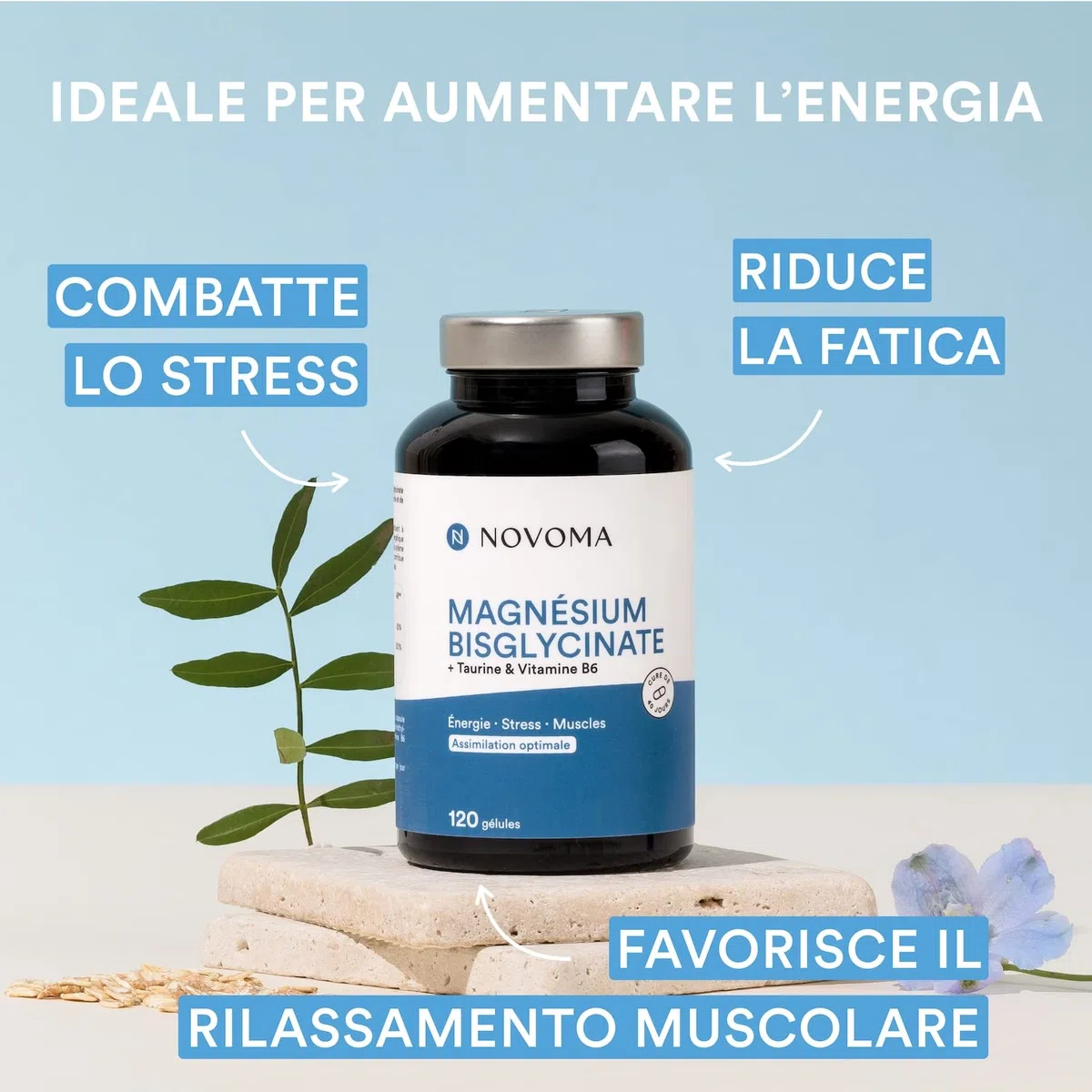 NOVOMA Magnesio Completo, Magnesio Bisglicinato Con Taurina e Vitamina B6, Dosaggio Potente & Alta Biodisponibilità, Contro lo Stress e la Stanchezza, 120 capsule Vegane