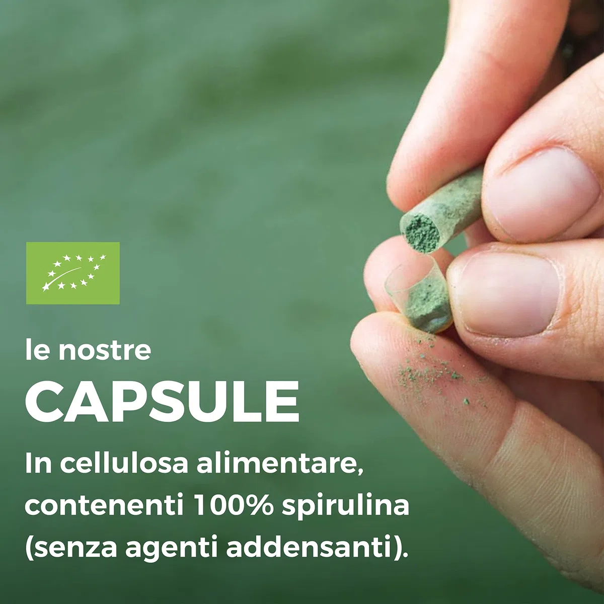 Capsule di Spirulina Pura - Italiana e Biologica - 100 capsule per confezione - 0,5 g per capsula - rilascio immediato, senza sapore, ricca di vitamine, proteine e sali minerali