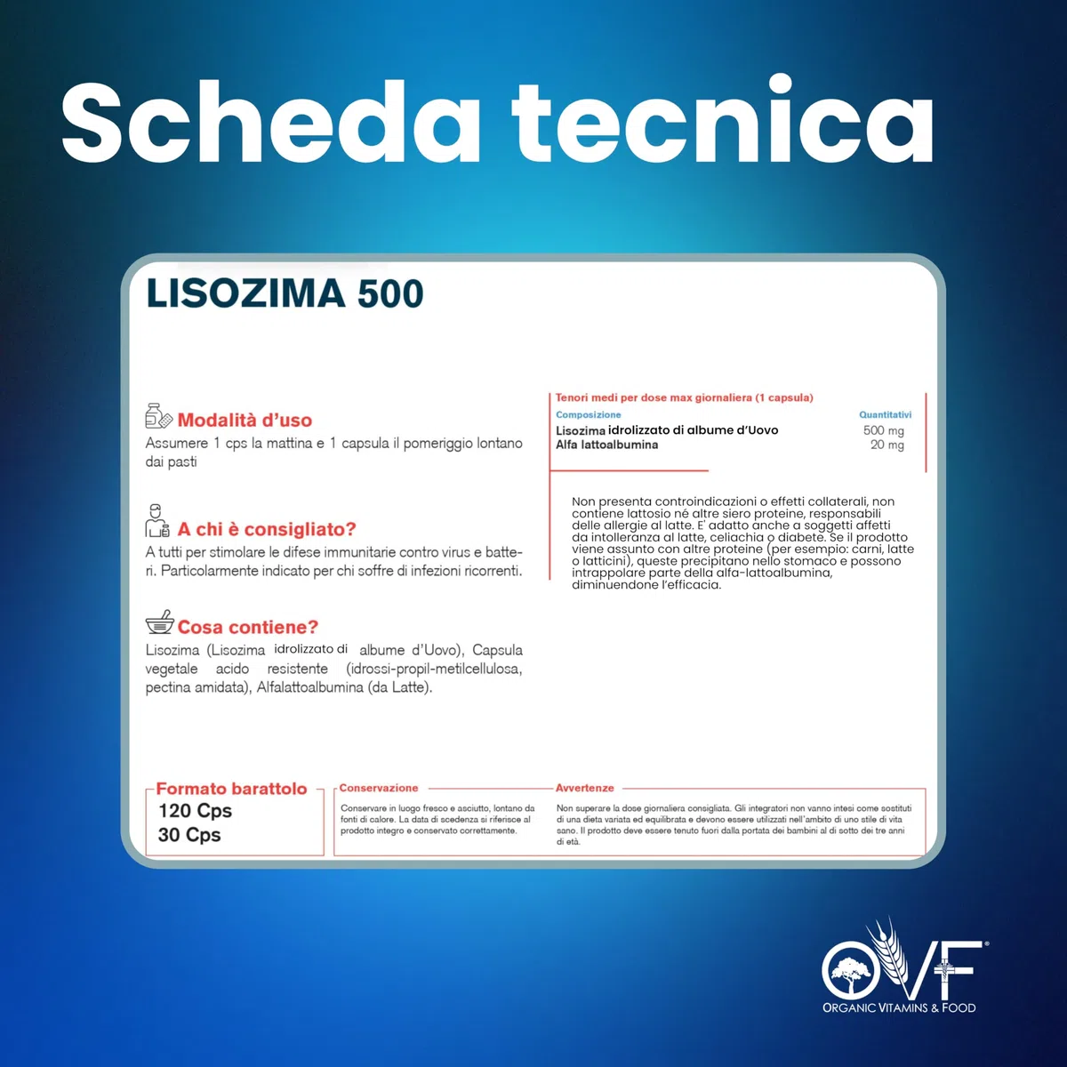 Parafarmacia OVF, 120 CAPS di lisozima 500 mg, (2 mesi di fornitura, Formato Convenienza) immunostimolante