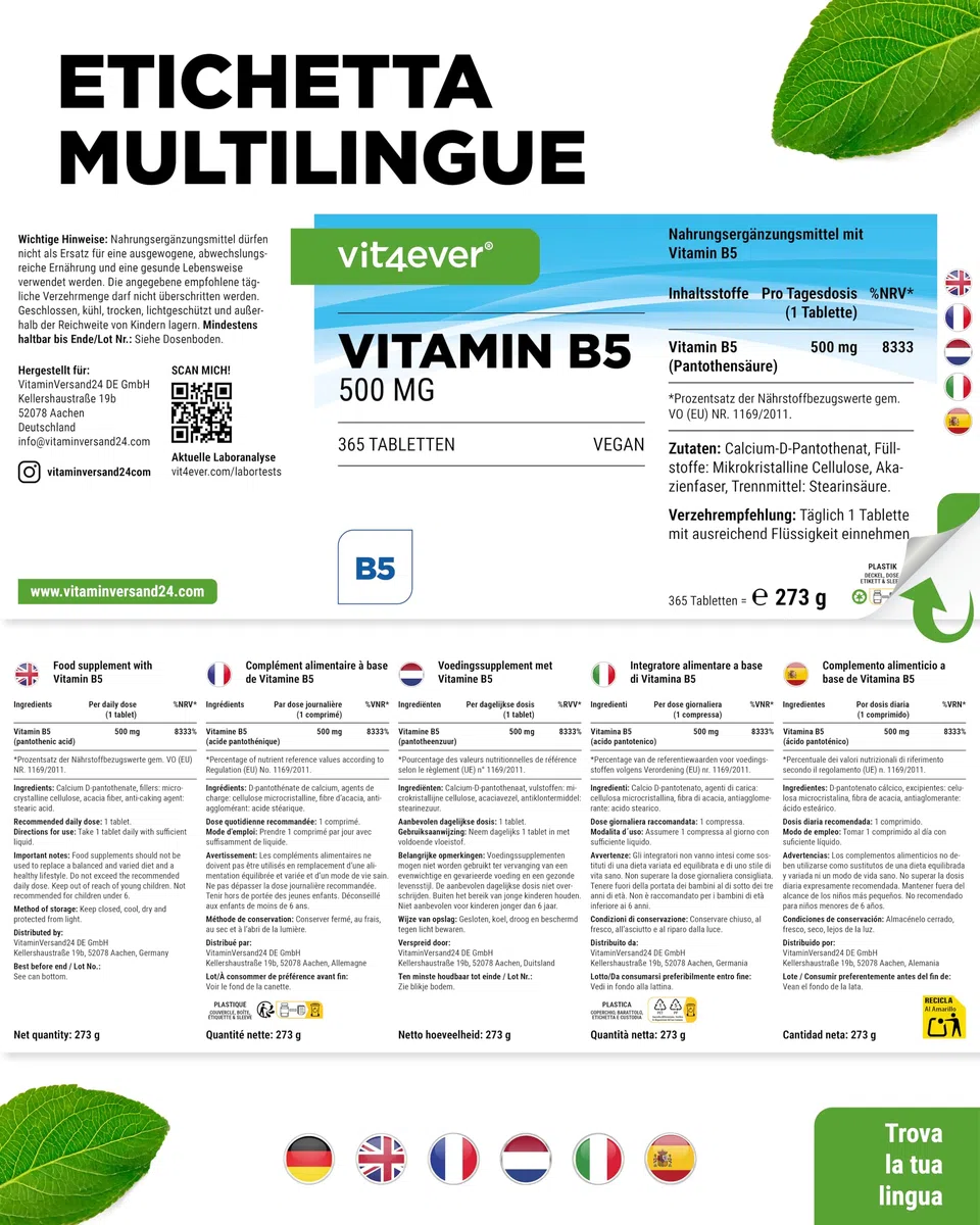 vit4ever Vitamina B5 (Acido Pantotenico) - 500 mg - 365 Compresse - Scorta per 1 anno - Alto Dosaggio - Senza Additivi Indesiderati - Vegano