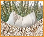 Cuscino di farro biologico, 40 x 80 cm, bianco