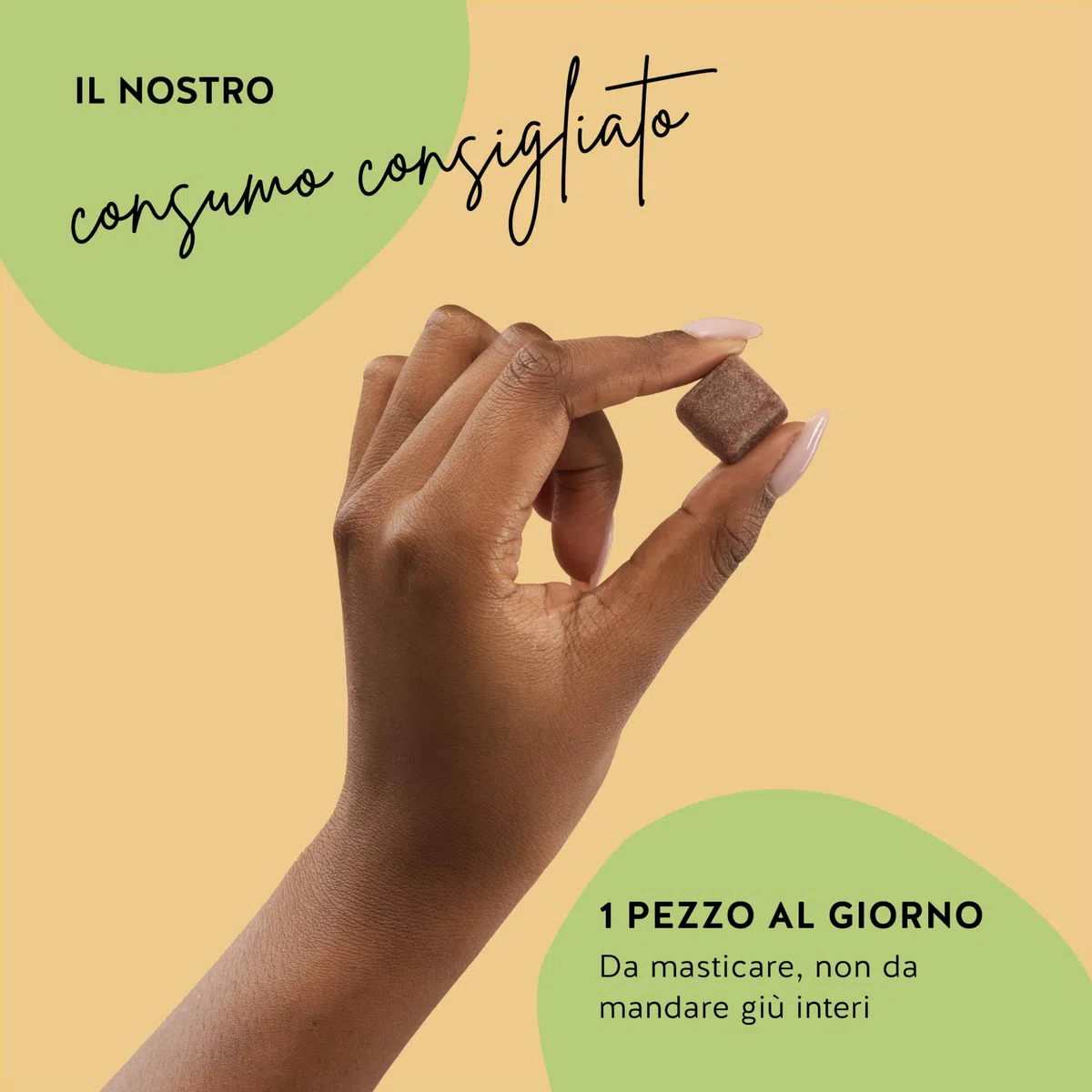 Belly Bites con fermenti lattici - di batteri intestinali per una sana digestione e benessere - Vitamina E, selenio, zinco - Senza zucchero e dolcificanti - 30 pezzi - Vegan - Bears with Benefits