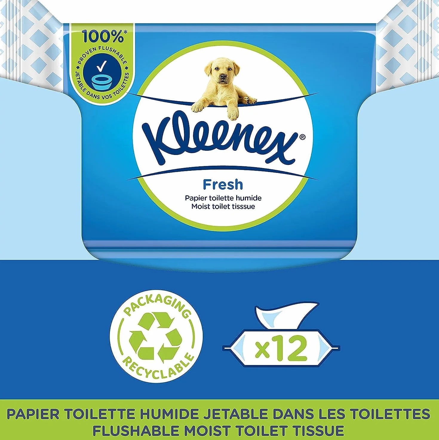 KLEENEX Fresh - Carta igienica umida (12 confezioni da 42 fogli), usa e getta in bagno, 100% fibre naturali, senza plastica, senza profumo, senza alcool