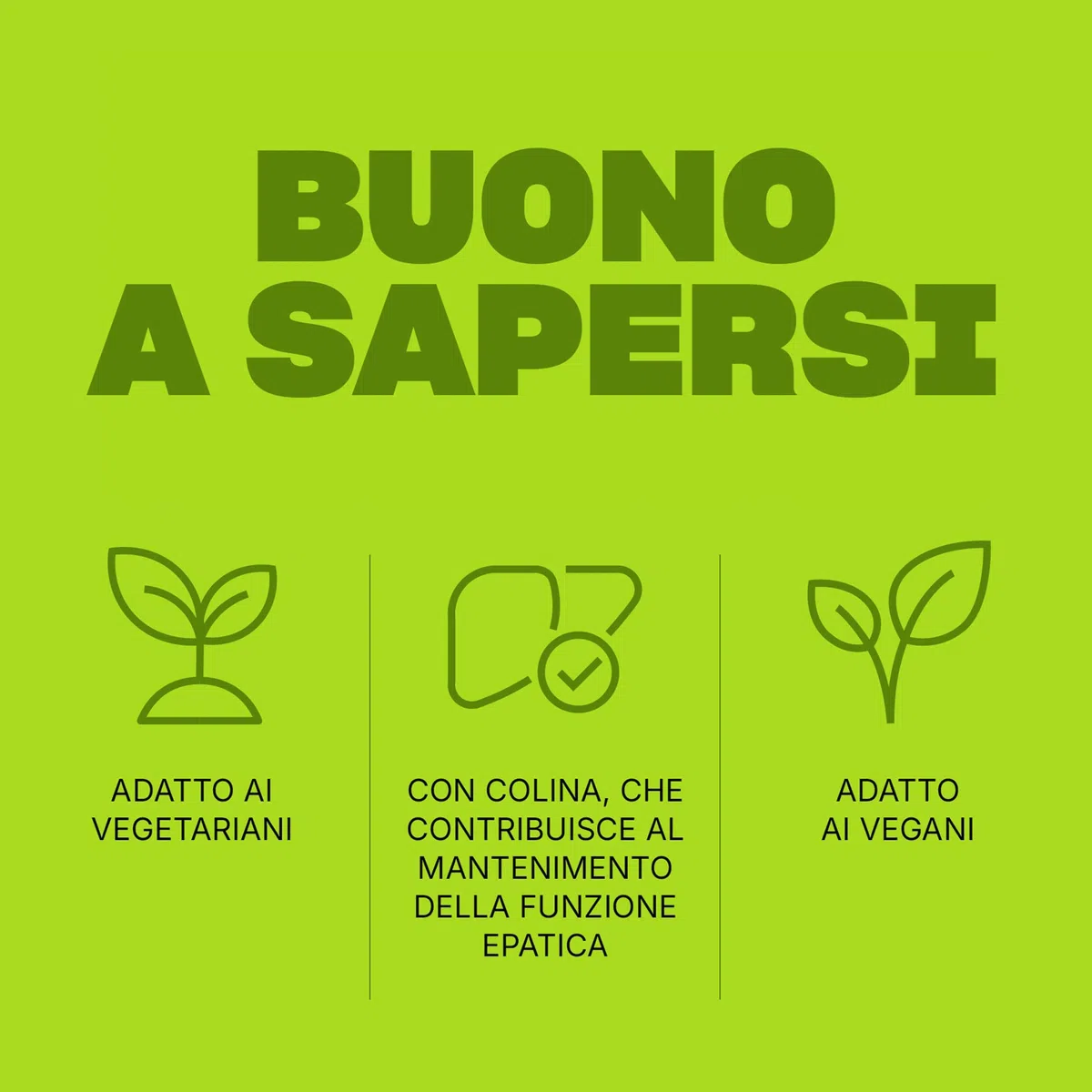 SWISSE Detox - Colina Integratore con Cardo Mariano, Curcuma ed Estratto di Carciofo, Integratori Alimentari per Supporto Funzione Epatica - 120 Compresse Rivestite, Facili da Deglutire, Made in Italy