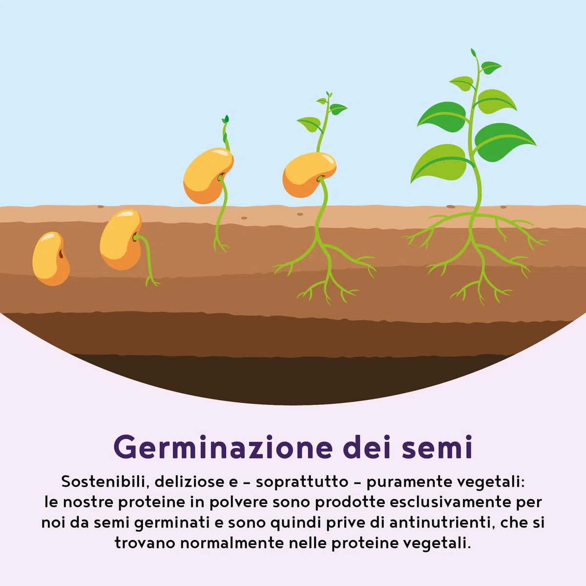 Proteine in Polvere Vegane | Gusto Mirtillo | 17g Proteine | Proteine Vegetali Isolate in Polvere di Pisello, Riso e Girasole | Massa Muscolare | 600g Vegan Protein Powder | Alpha Foods