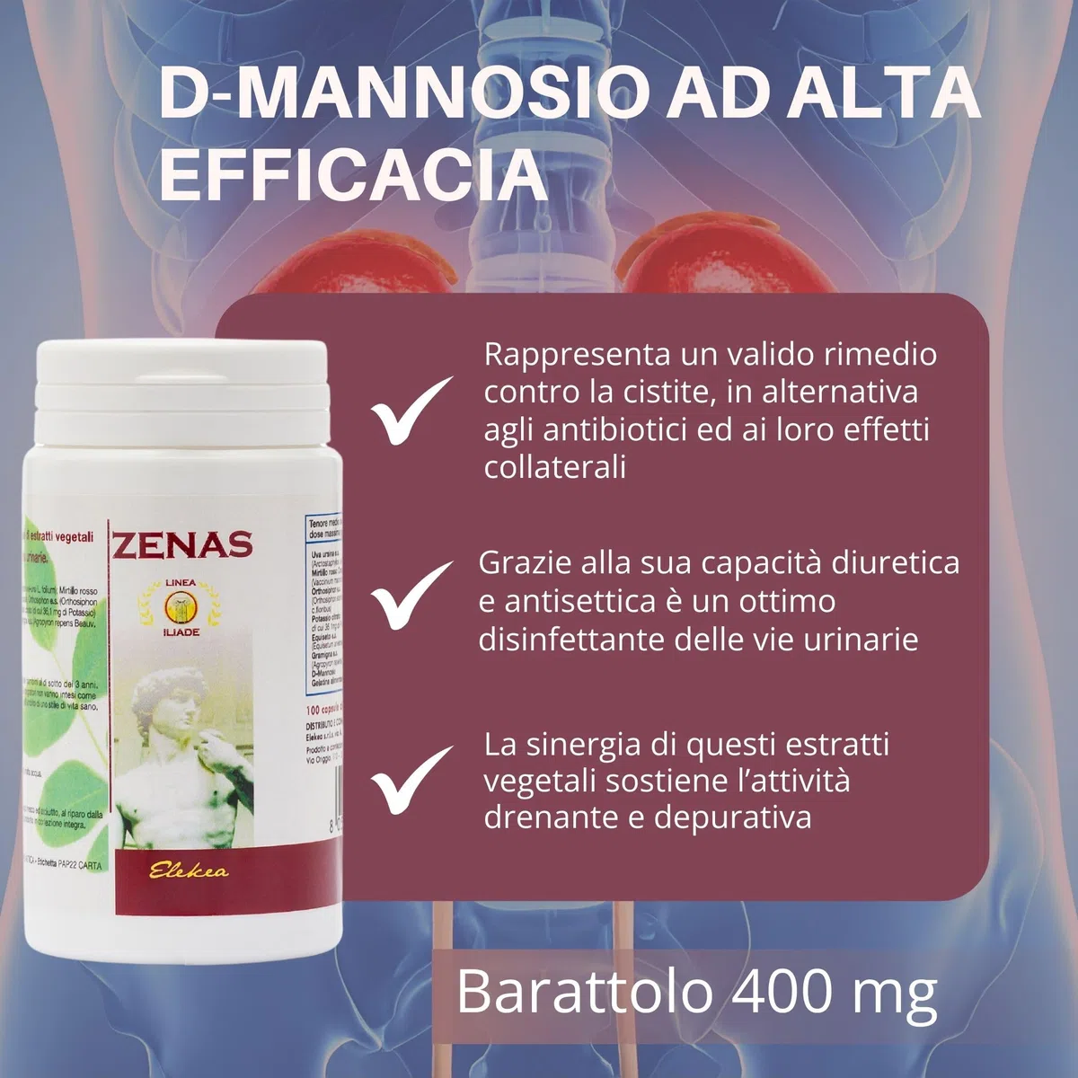 Integratore Cistite Donna con d Mannosio Uva Ursina Mirtillo Rosso e Ortosiphon, azione Naturale Antibatterica e Depurativa - 100 Capsule Vegetali