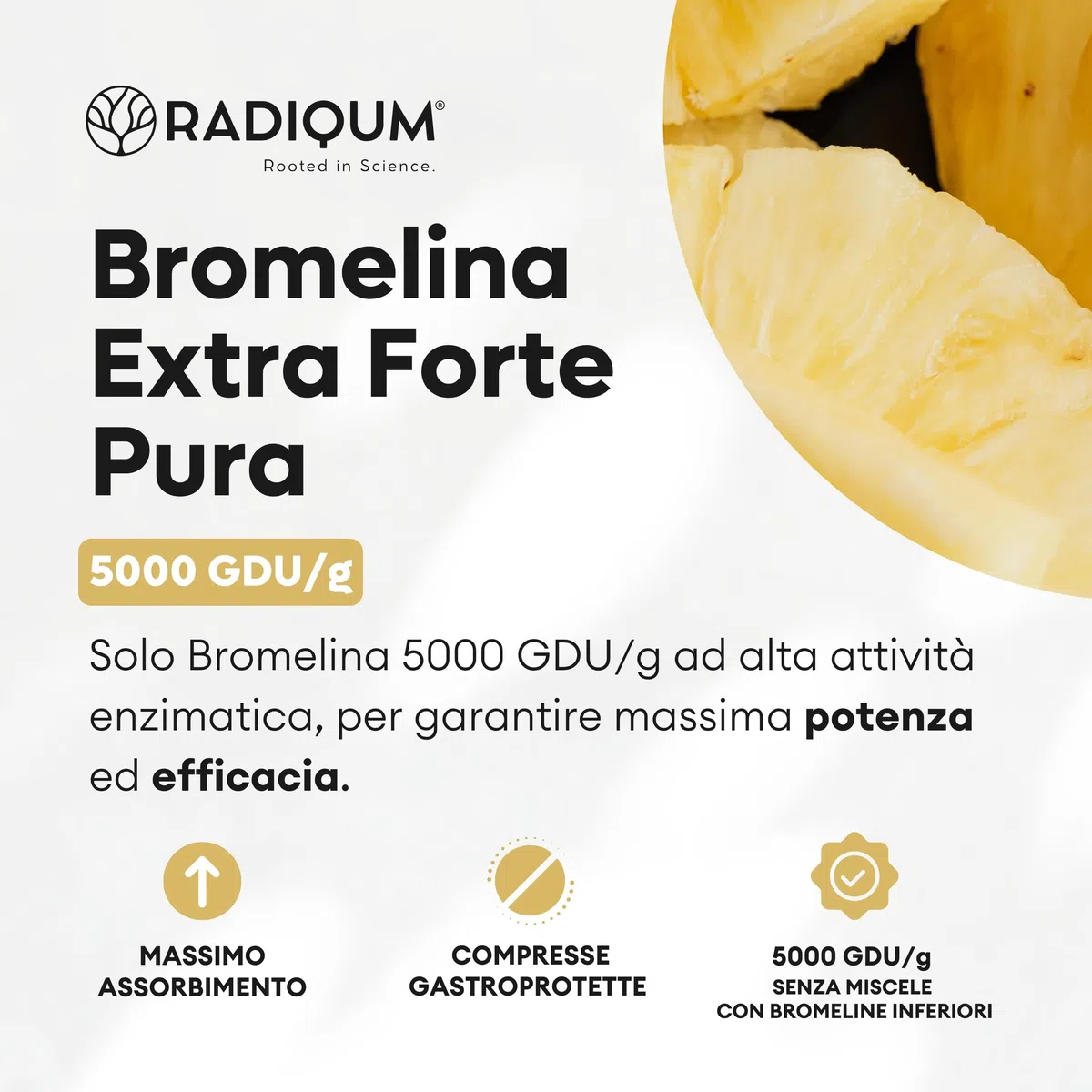 Bromelina Extra Forte Drenante 5000 GDU/g | Integratore Bromelina Forte Drenante | 180 Compresse Gastroprotette | Gambo d’Ananas | Vegan | Made in Italy