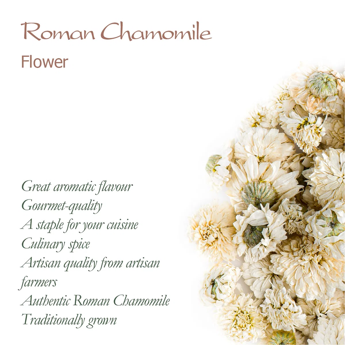 Camomilla Romana Fiori Tè - Anthemis Nobilis - 350g