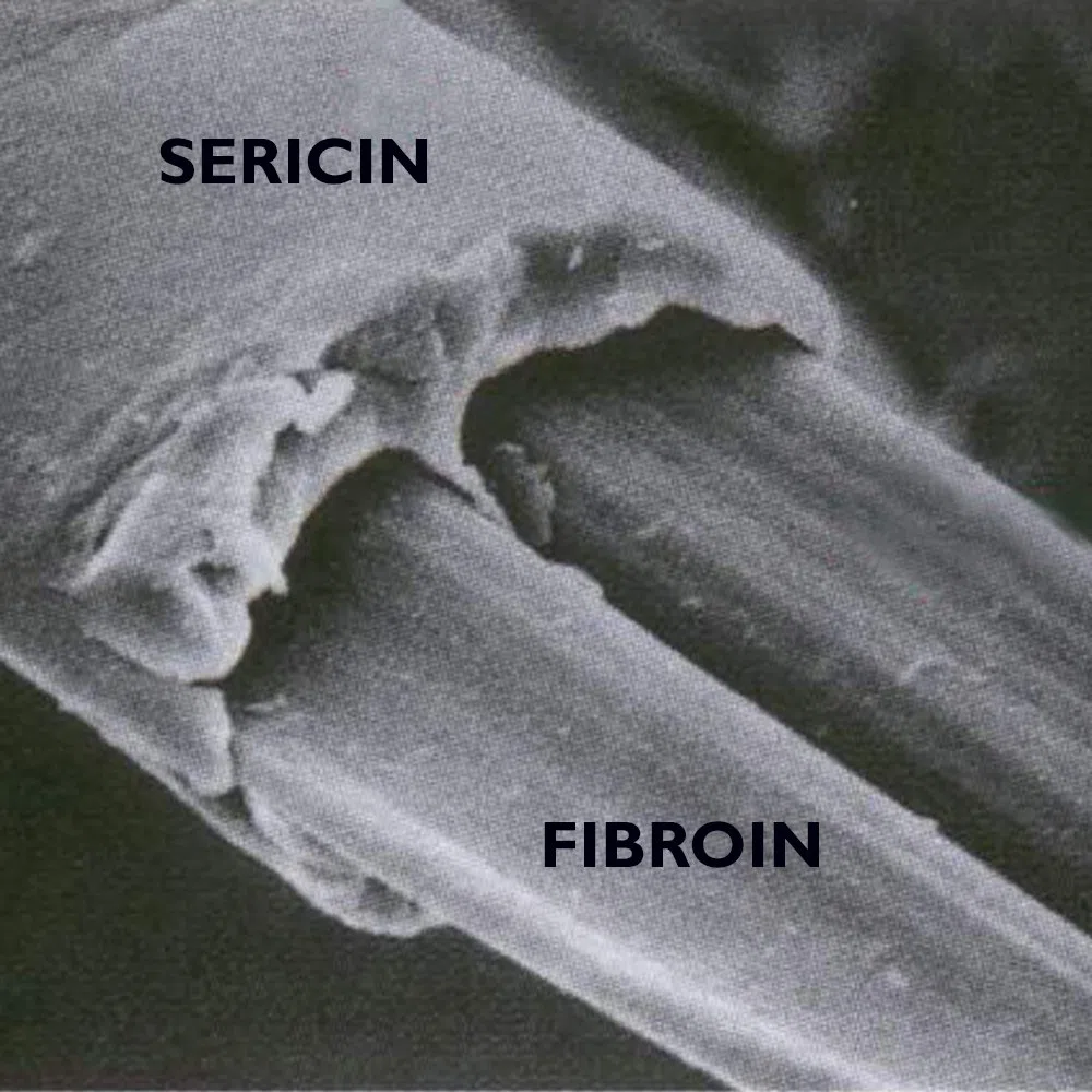 Dermasilk - Fascia in Fibroina di Seta cm 150x25